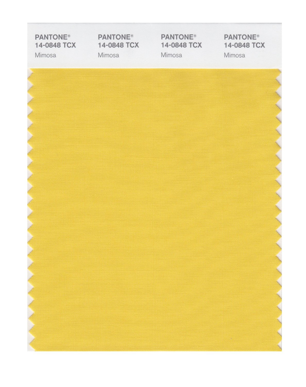 Pantone Cotton Swatch 14-0848 Mimosa