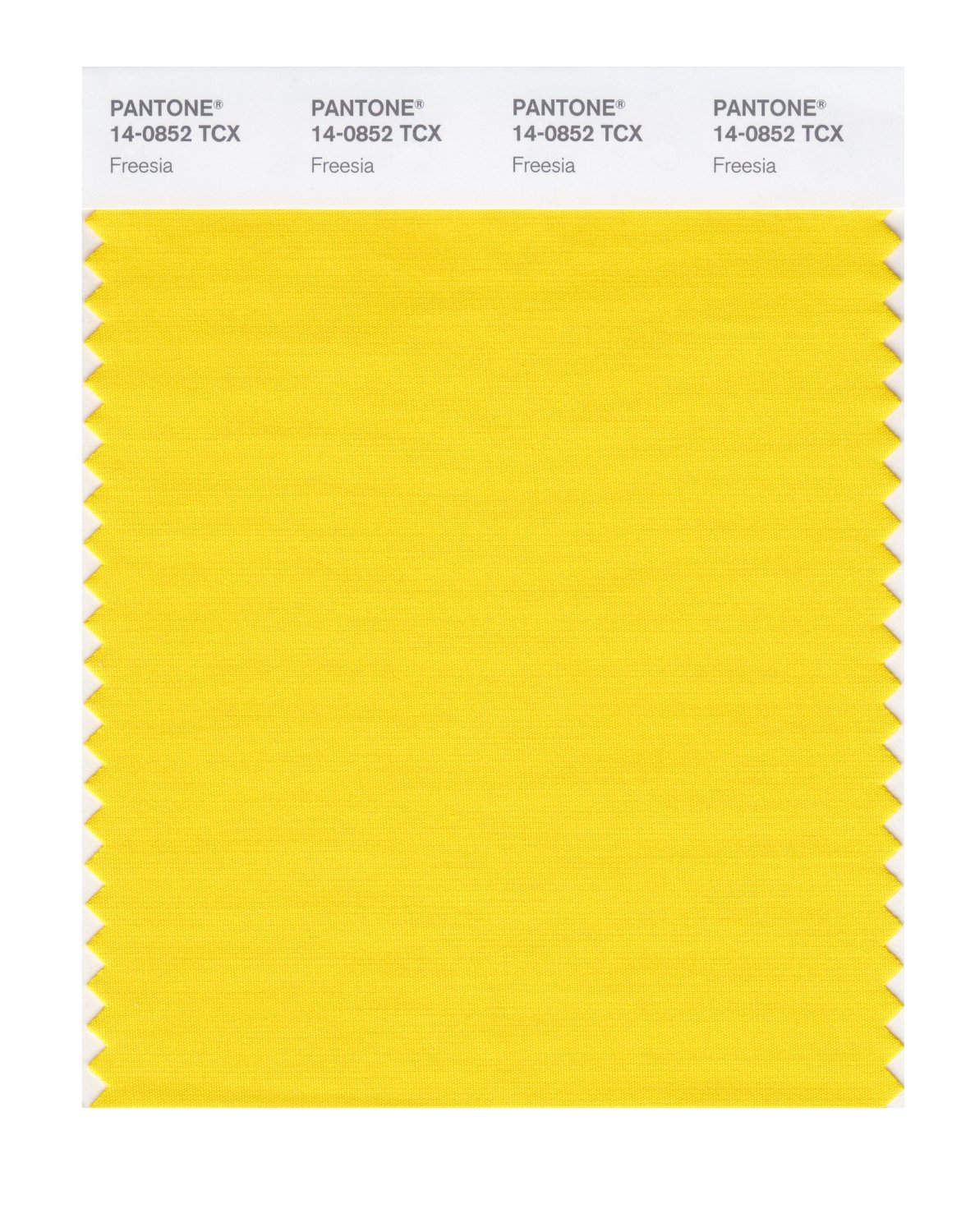 Pantone Cotton Swatch 14-0852 Freesia