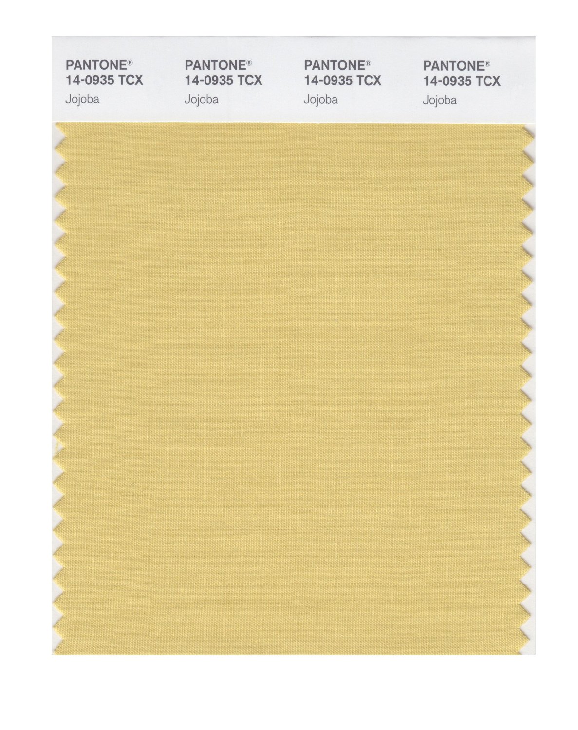 Pantone Cotton Swatch 14-0935 Jojoba