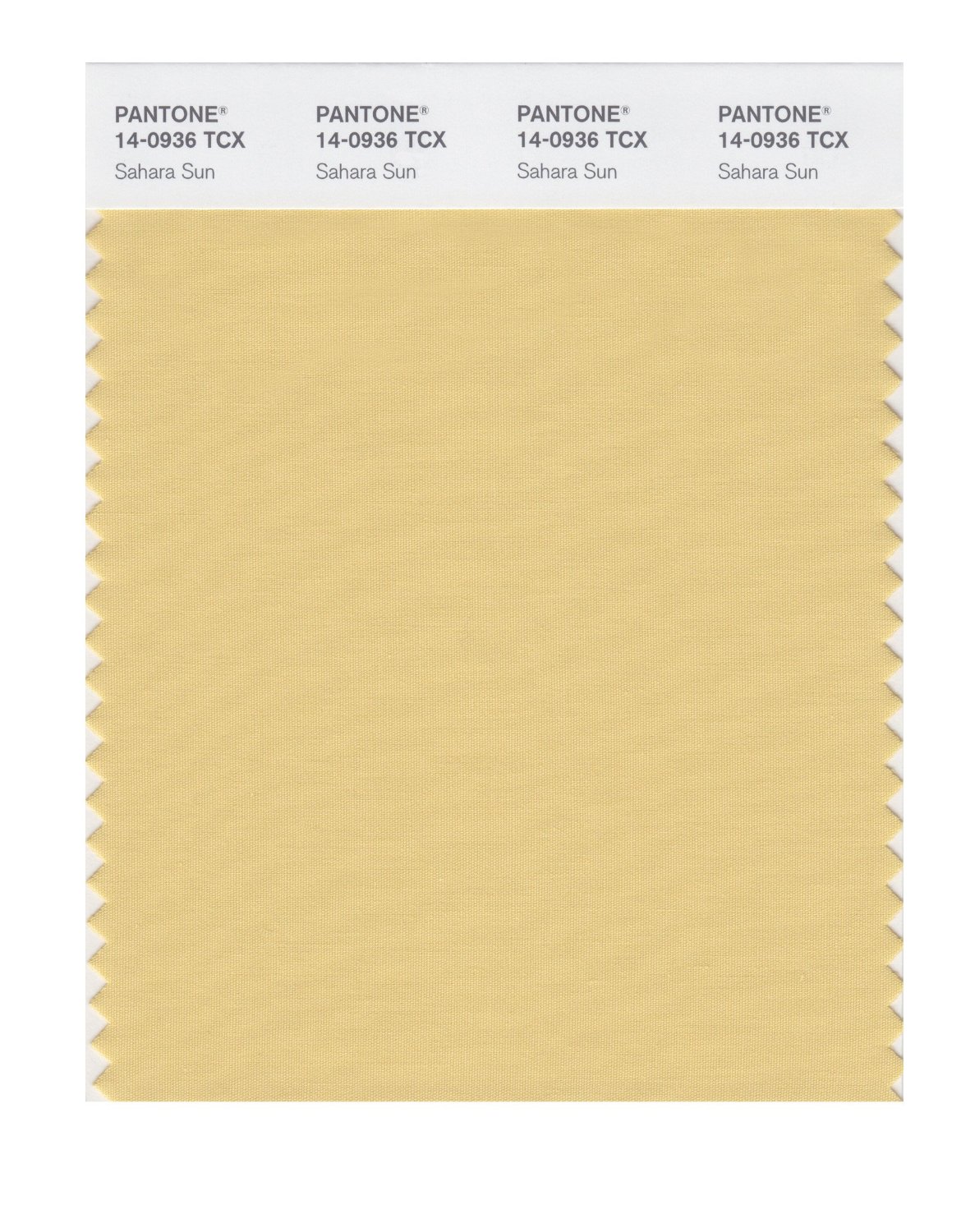 Pantone Cotton Swatch 14-0936 Sahara Sun