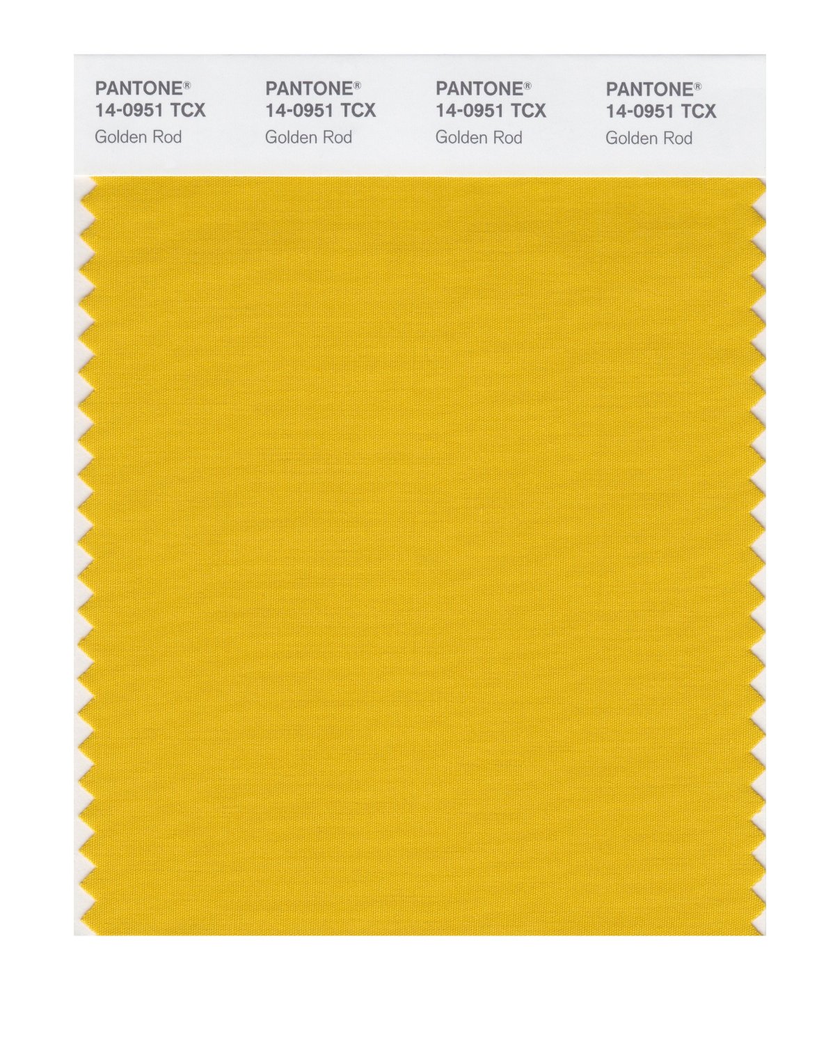 Pantone Cotton Swatch 14-0951 Golden Rod