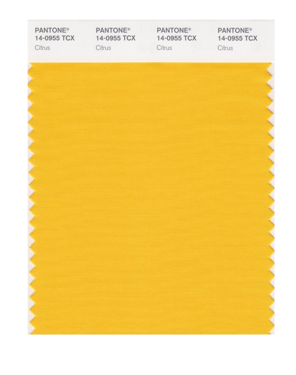 Pantone Cotton Swatch 14-0955 Citrus