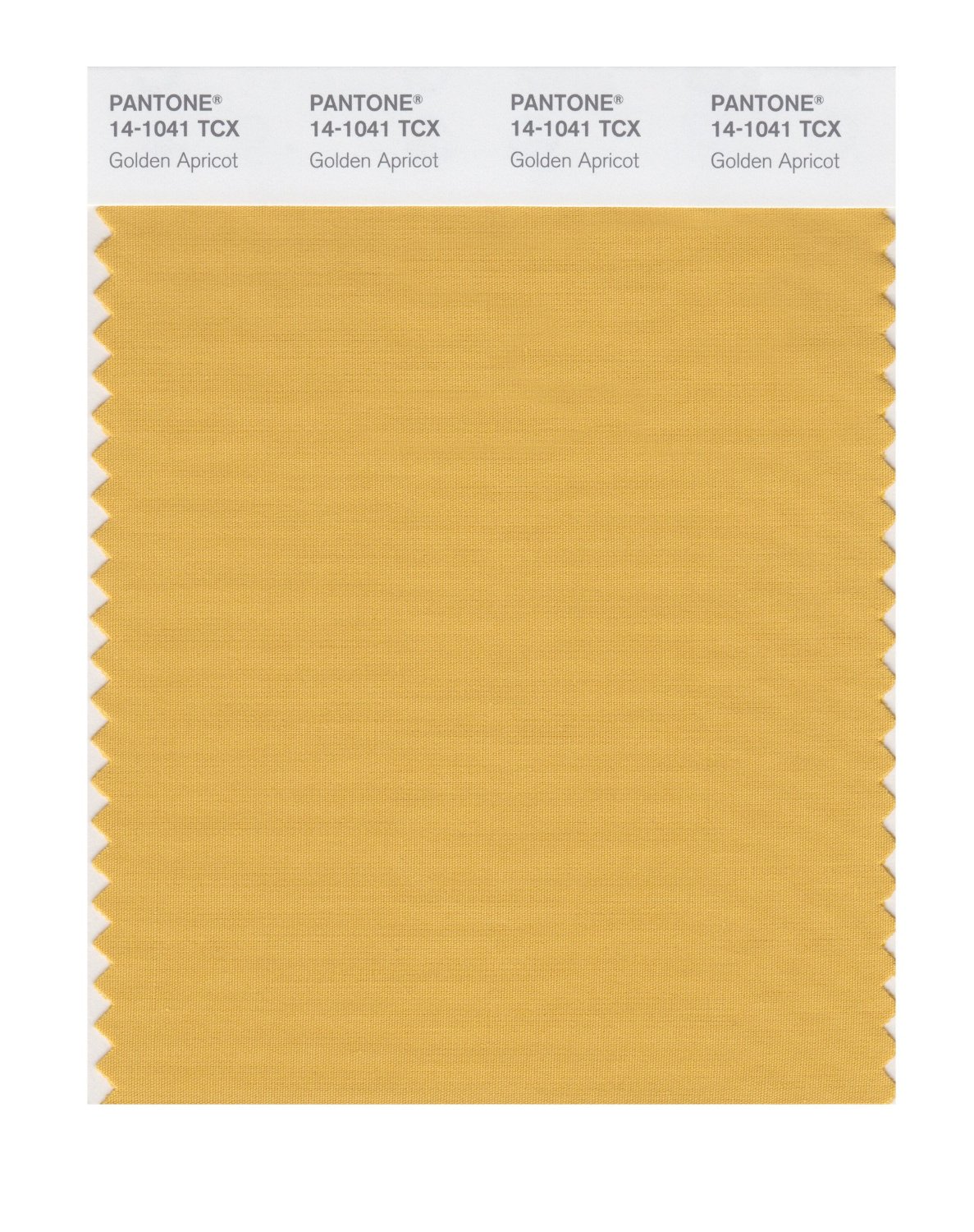 Pantone Cotton Swatch 14-1041 Golden Apricot