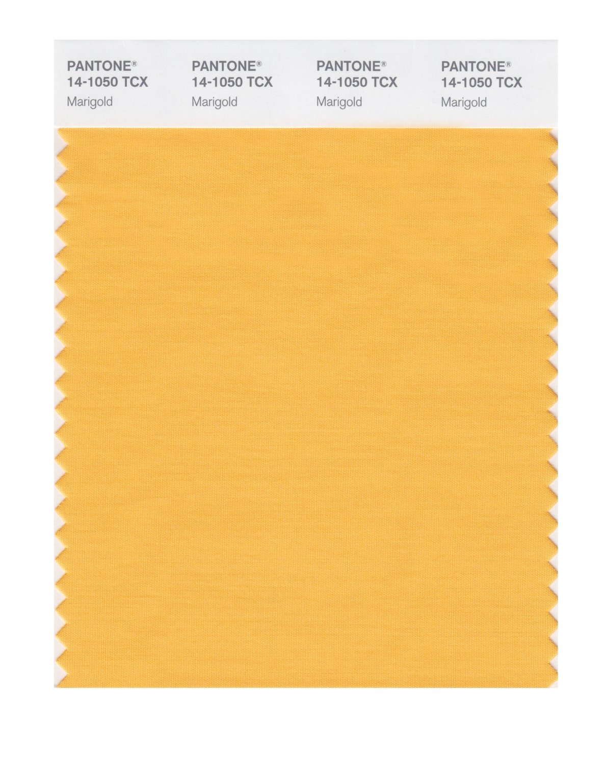 Pantone Cotton Swatch 14-1050 Marigold