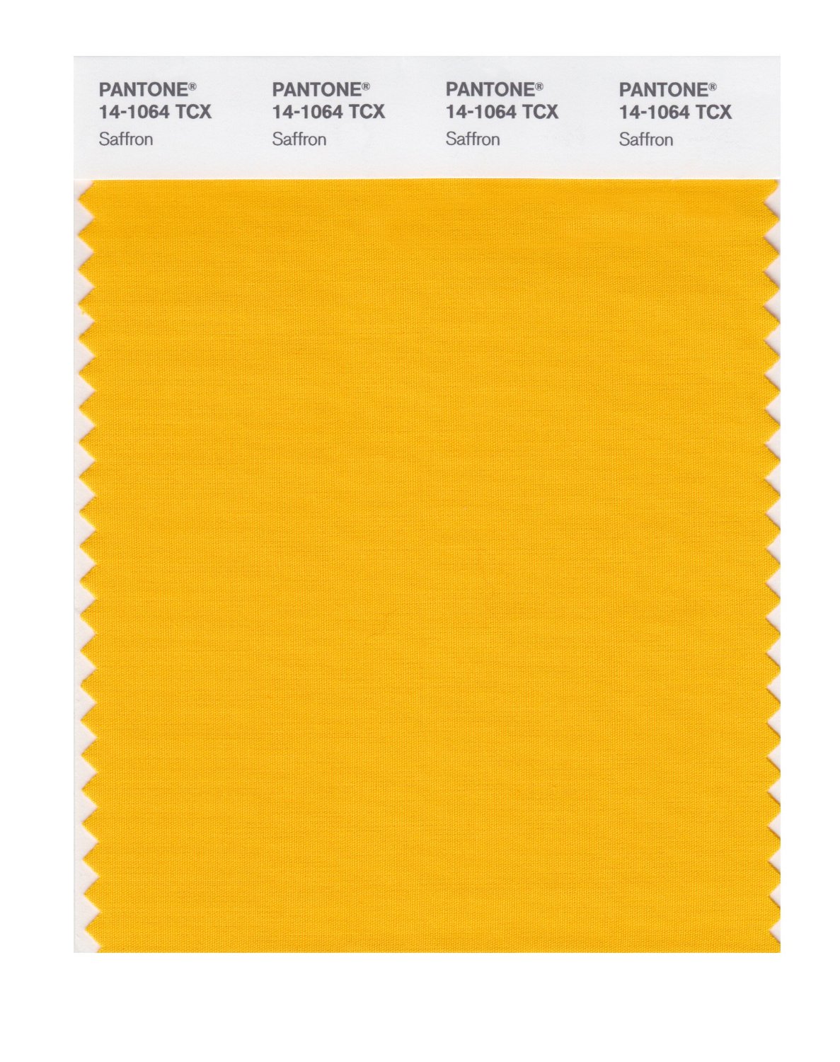 Pantone Cotton Swatch 14-1064 Saffron