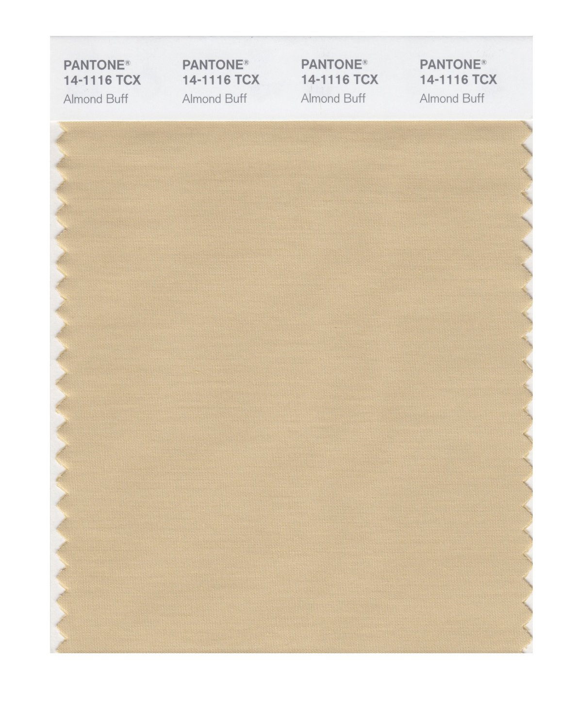 Pantone Cotton Swatch 14-1116 Almond Buff