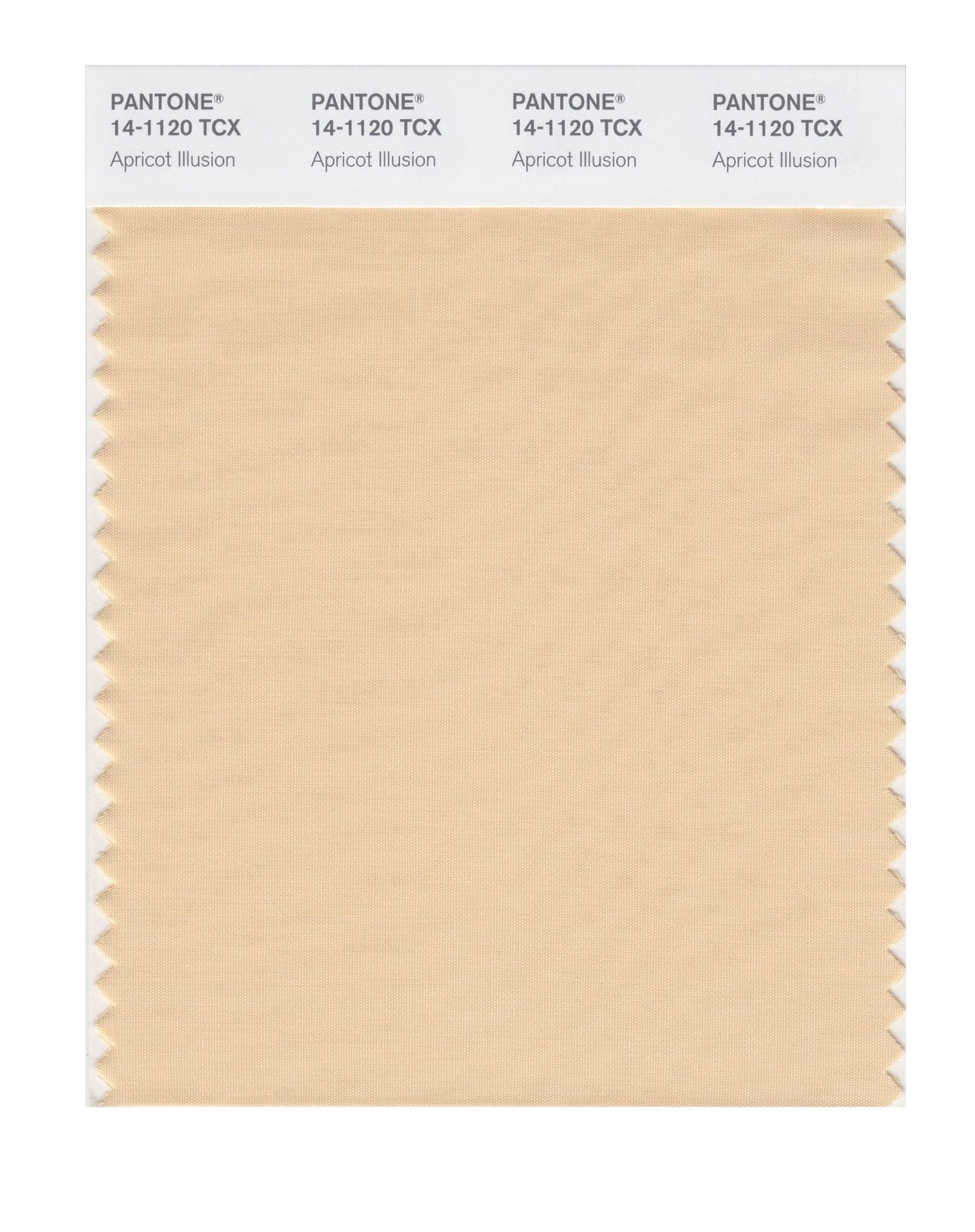 Pantone Cotton Swatch 14-1120 Apricot Illusio