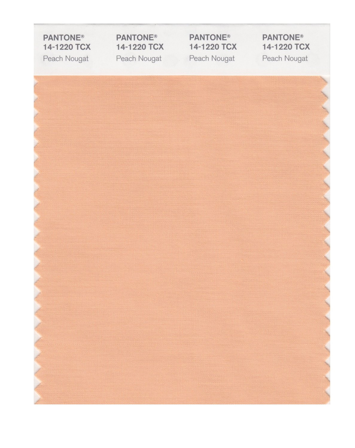 Pantone Cotton Swatch 14-1220 Peach Nougat