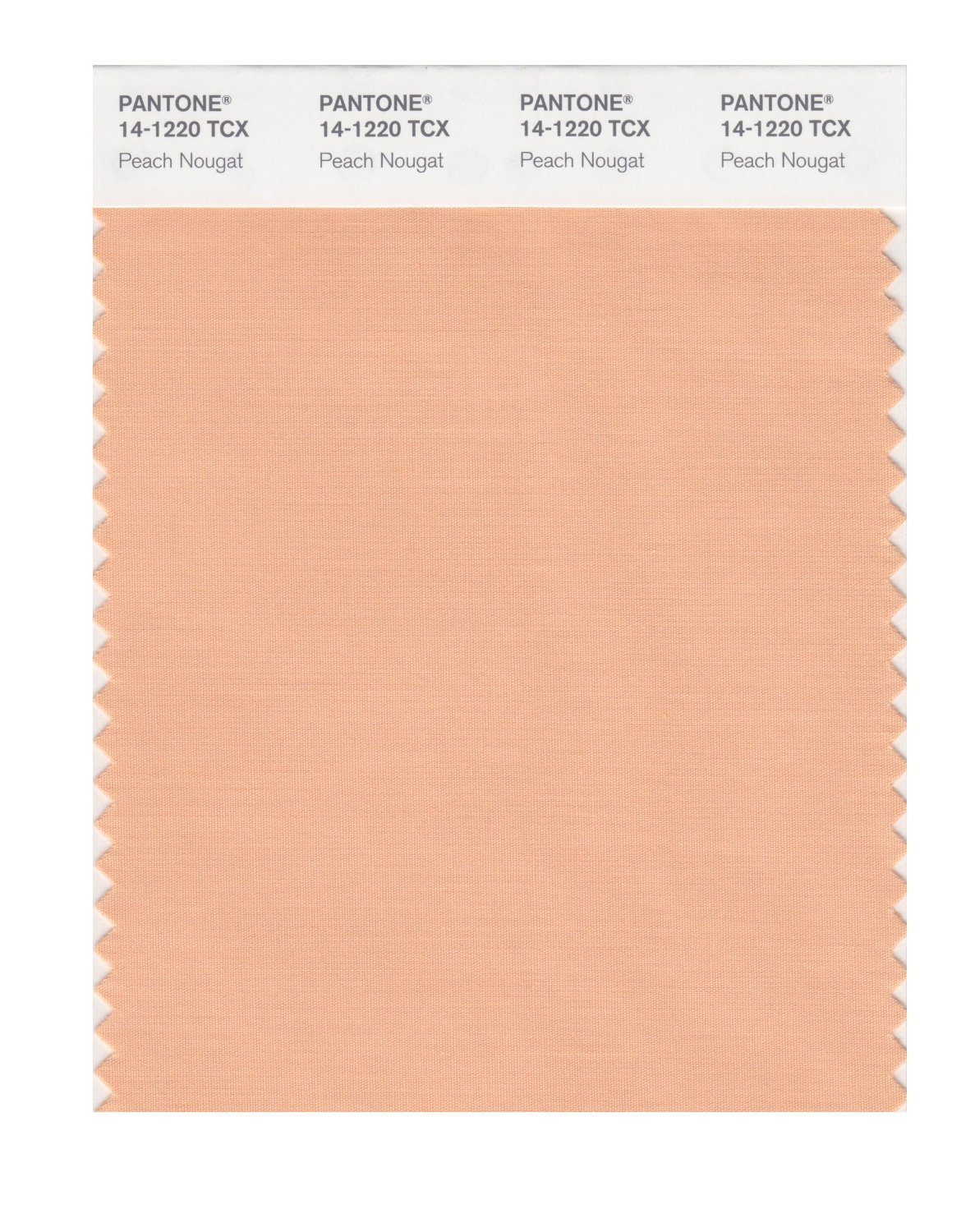 Pantone Cotton Swatch 14-1220 Peach Nougat