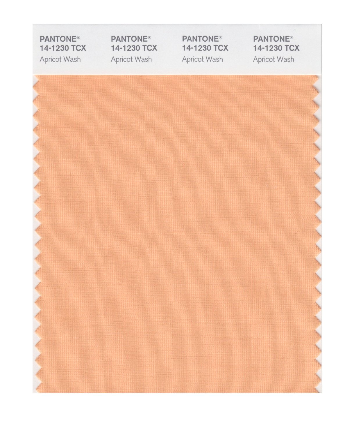 Pantone Cotton Swatch 14-1230 Apricot Wash