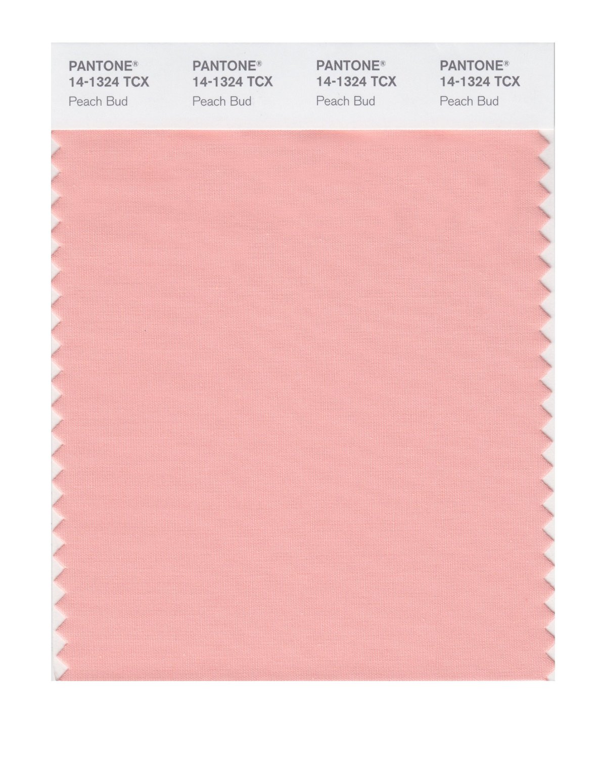 Pantone Cotton Swatch 14-1324 Peach Bud