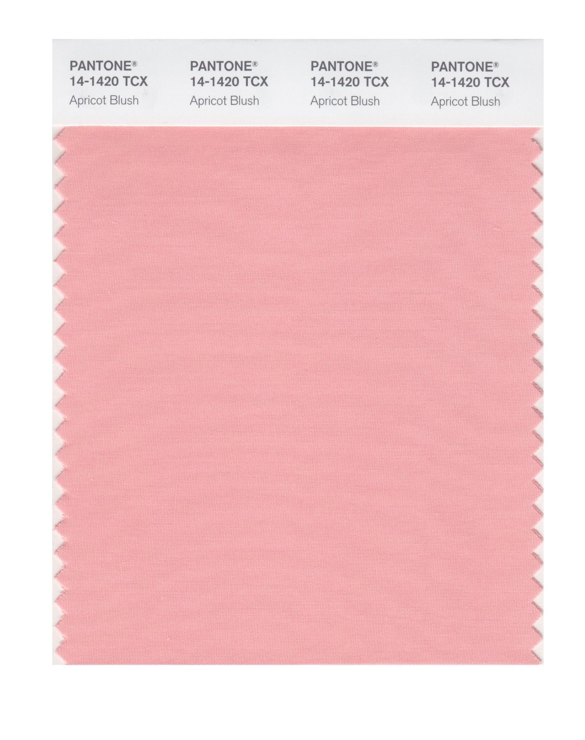 Pantone Cotton Swatch 14-1420 Apricot Blush