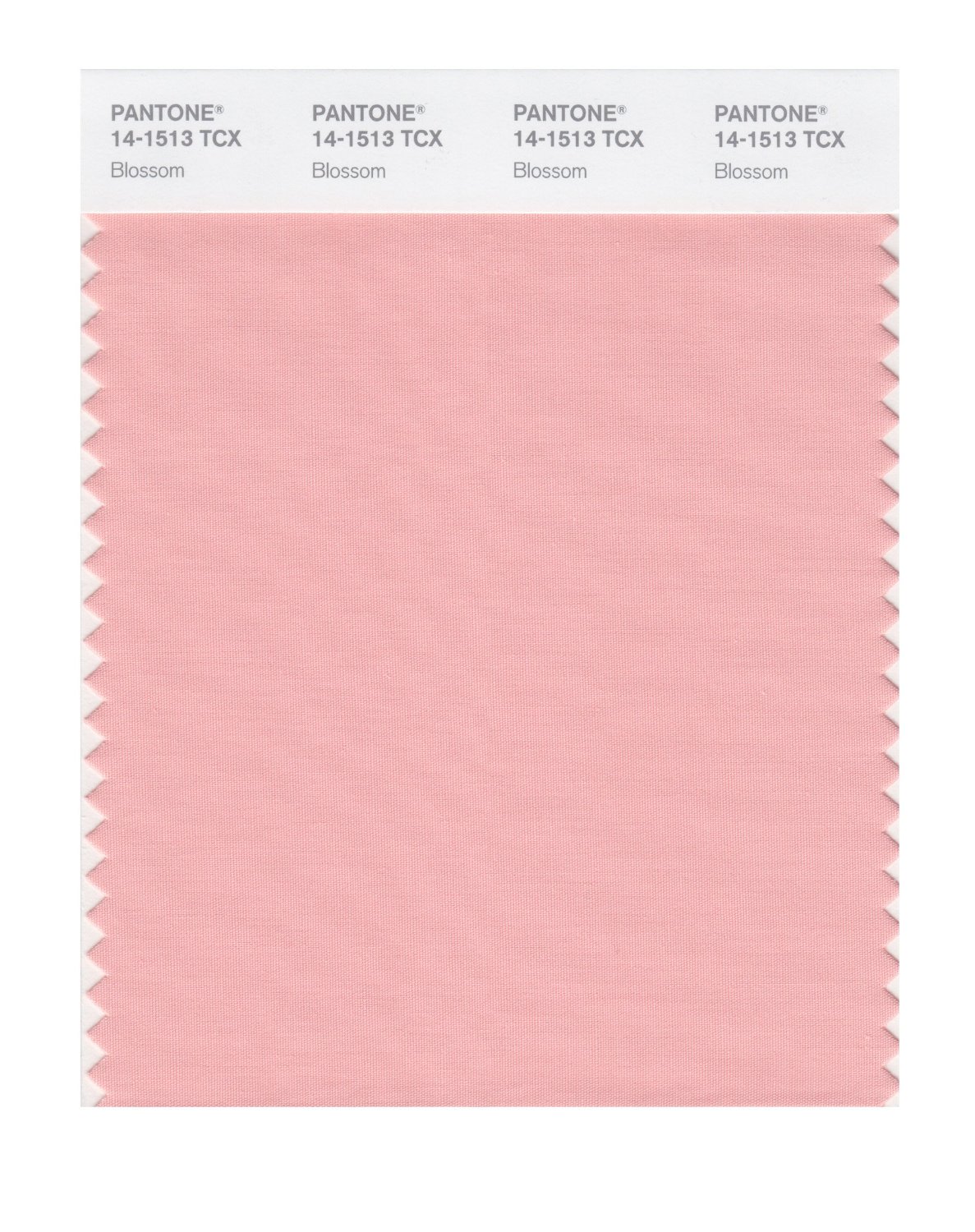 Pantone Cotton Swatch 14-1513 Blossom