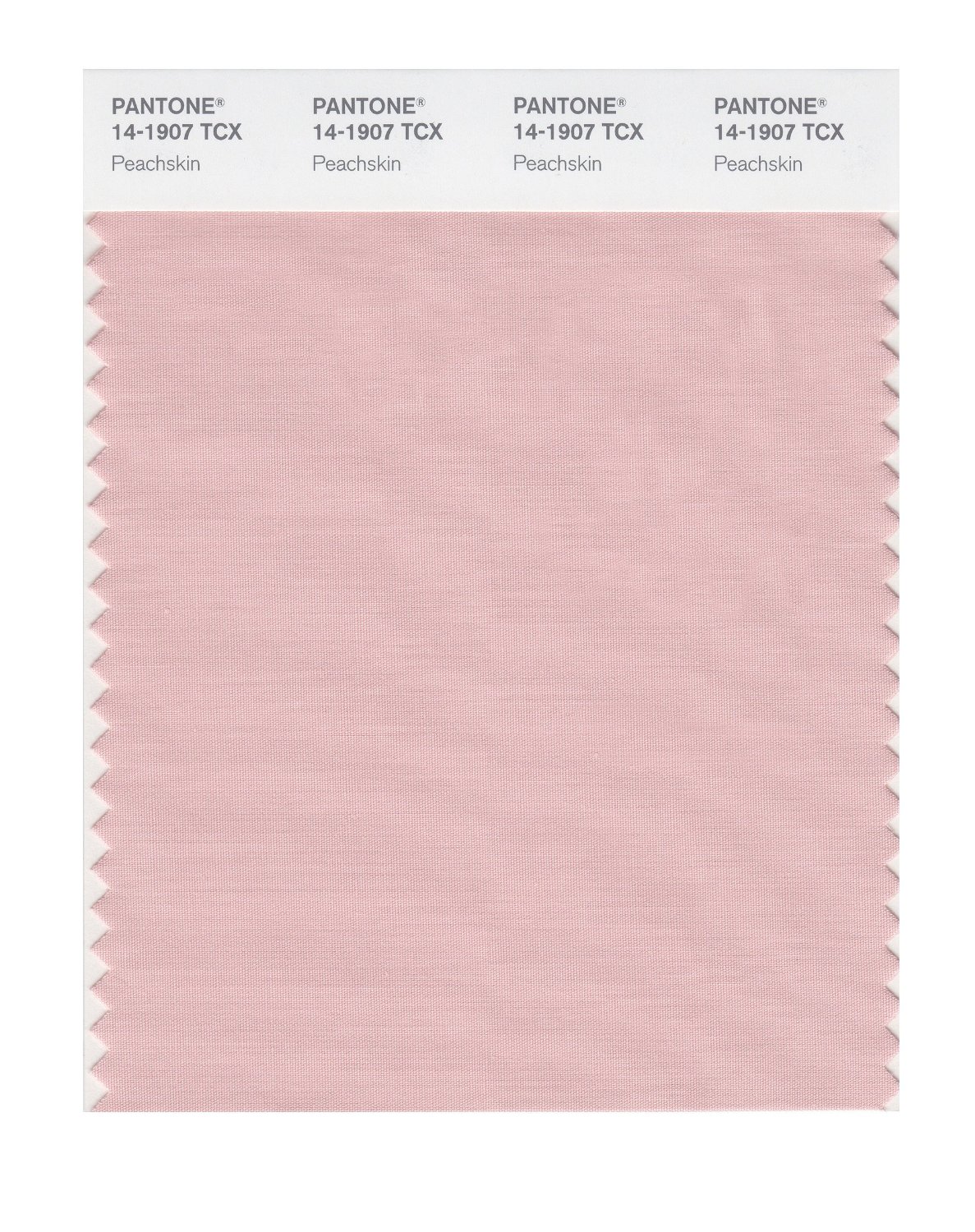 Pantone Cotton Swatch 14-1907 Peach Skin