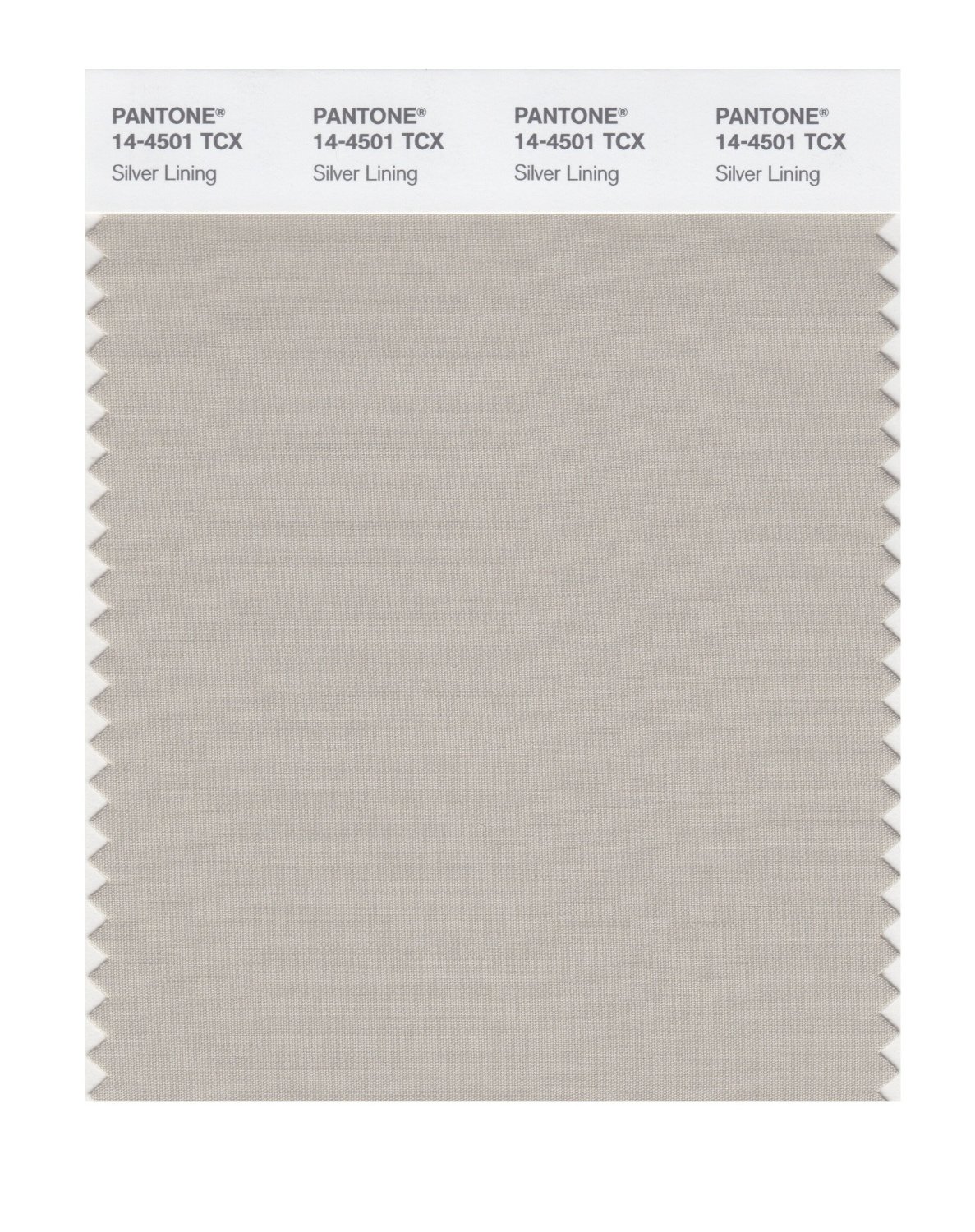 Pantone Cotton Swatch 14-4501 Silver Lining