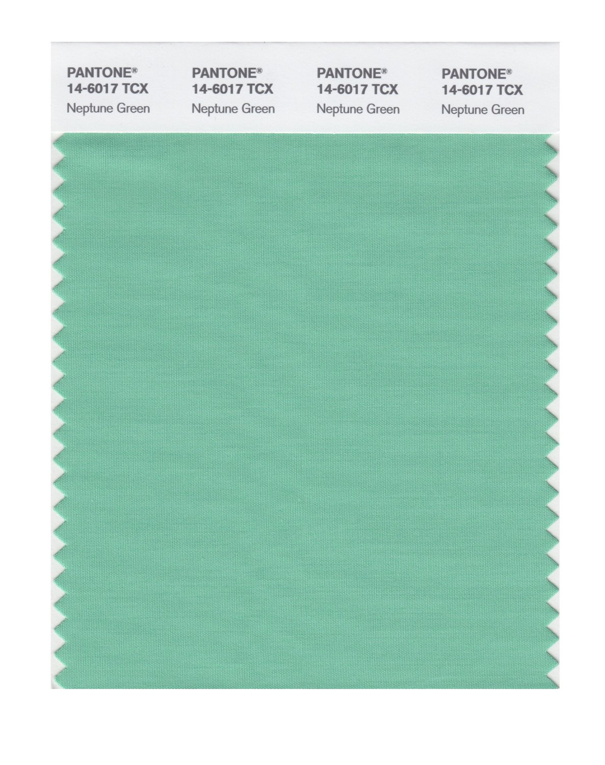 Pantone Cotton Swatch 14-6017 Neptune Green