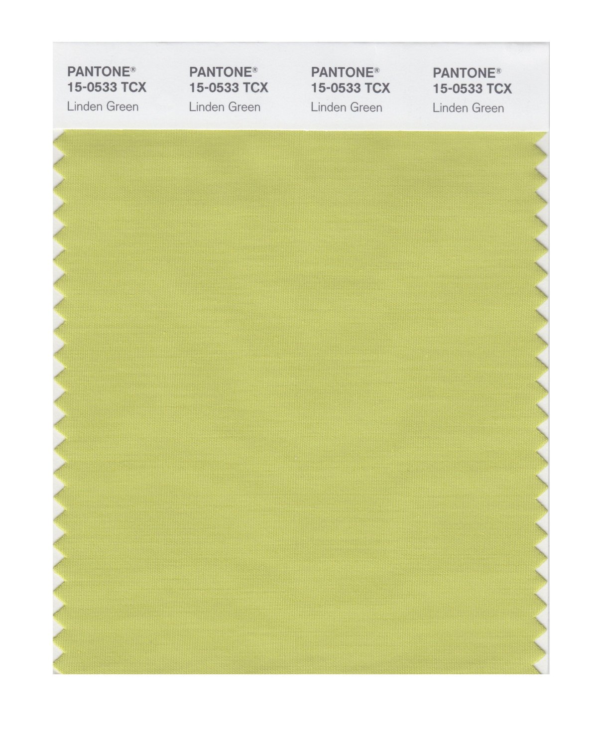 Pantone Cotton Swatch 15-0533 Linden Green