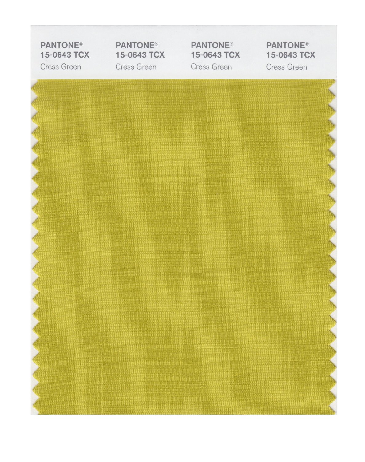 Pantone Cotton Swatch 15-0643 Cress Green