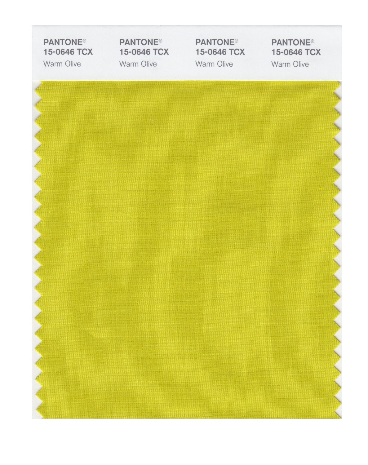 Pantone Cotton Swatch 15-0646 Warm Olive