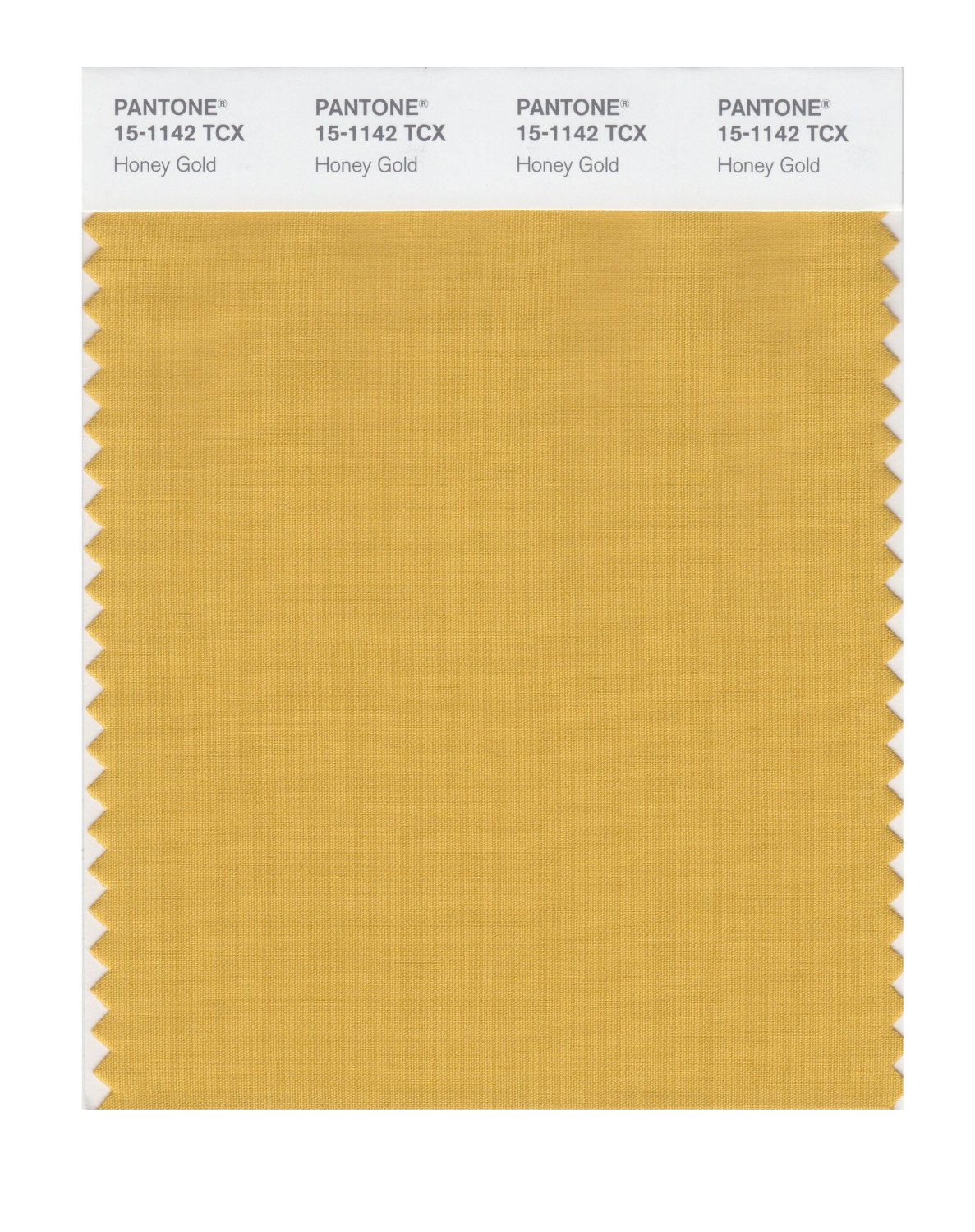 Pantone Cotton Swatch 15-1142 Honey Gold