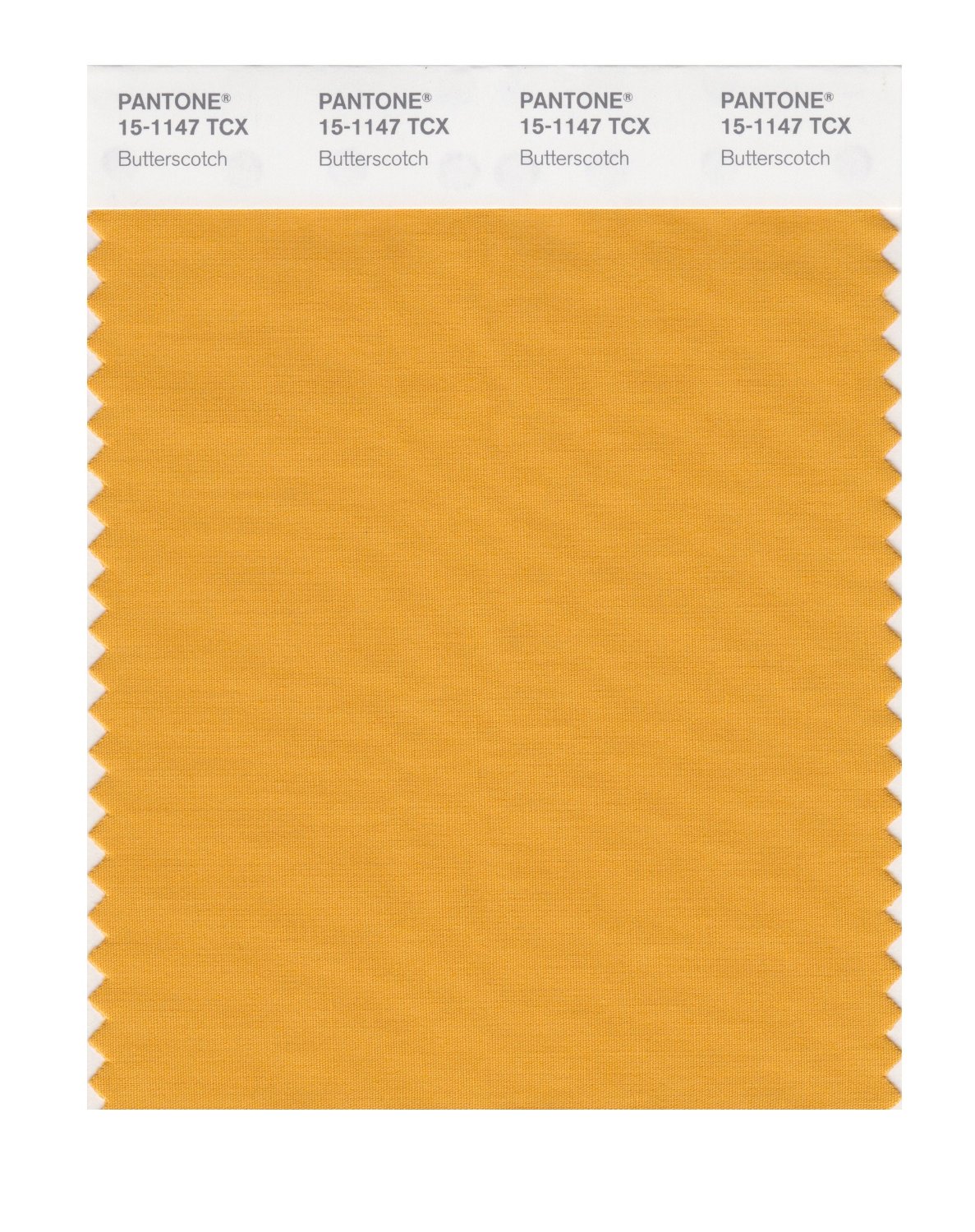 Pantone Cotton Swatch 15-1147 Butterscotch