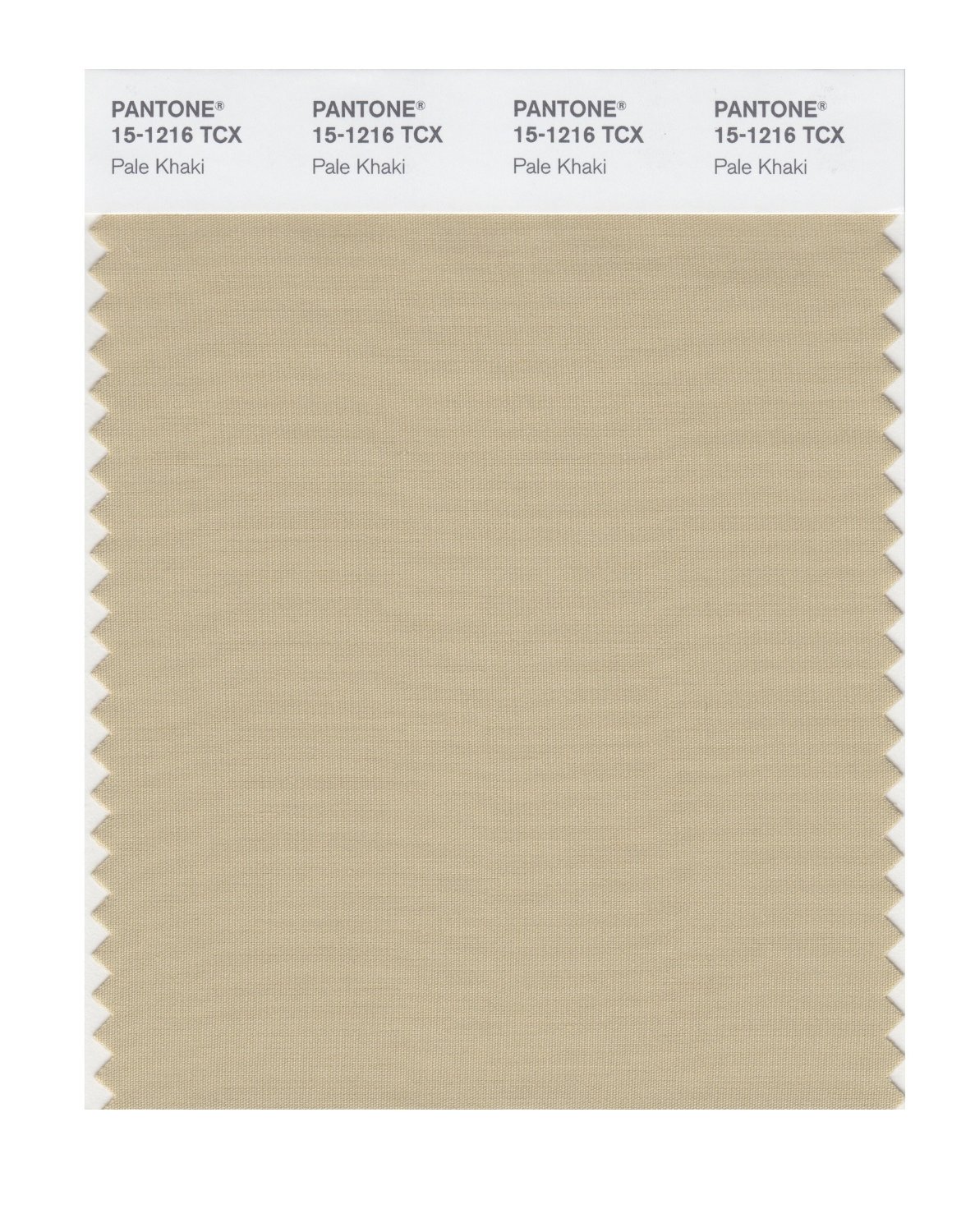 Pantone Cotton Swatch 15-1216 Pale Khaki