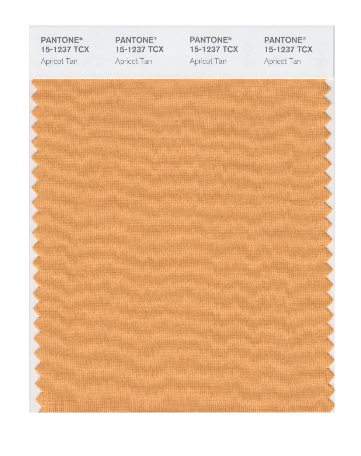 Pantone Cotton Swatch 15-1237 Apricot Tan