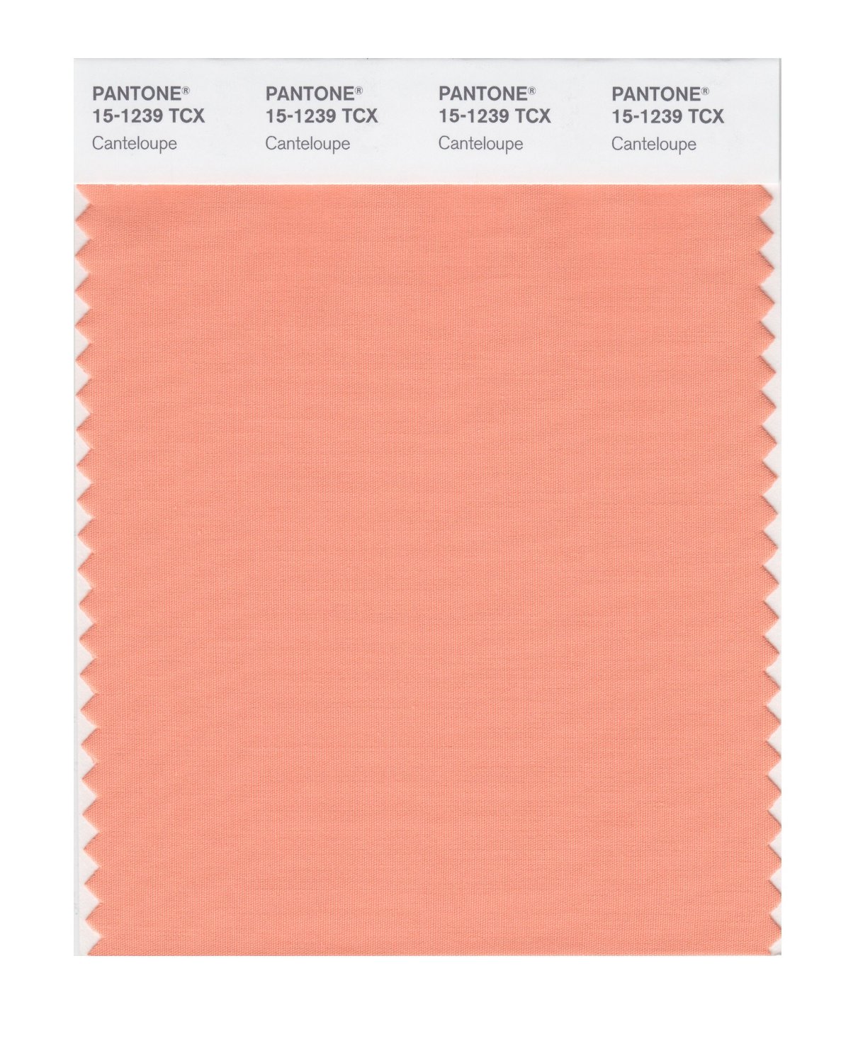 Pantone Cotton Swatch 15-1239 Cantaloupe