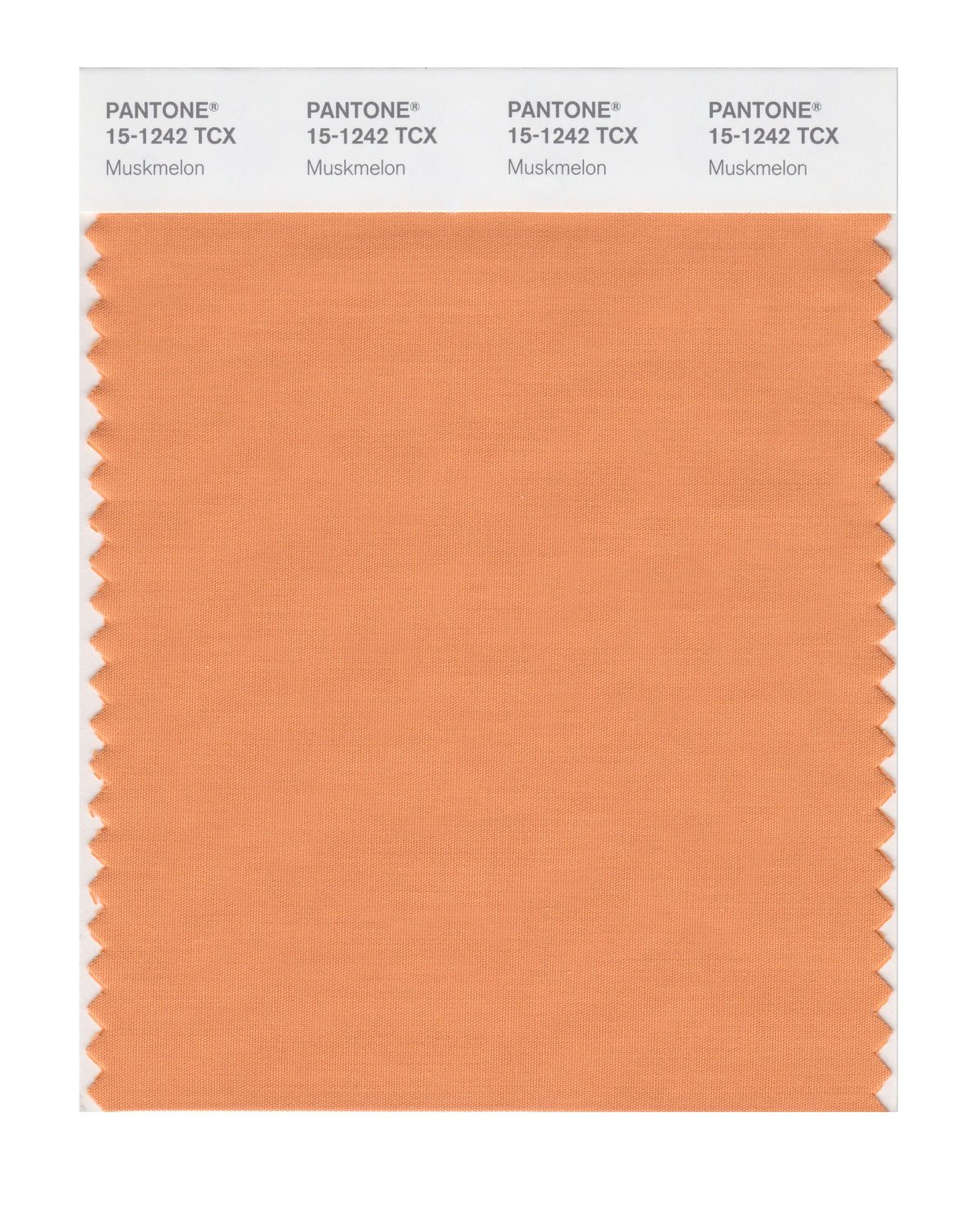 Pantone Cotton Swatch 15-1242 Muskmelon