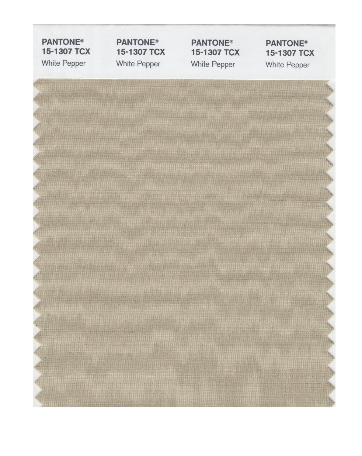 Pantone Cotton Swatch 15-1307 White Pepper