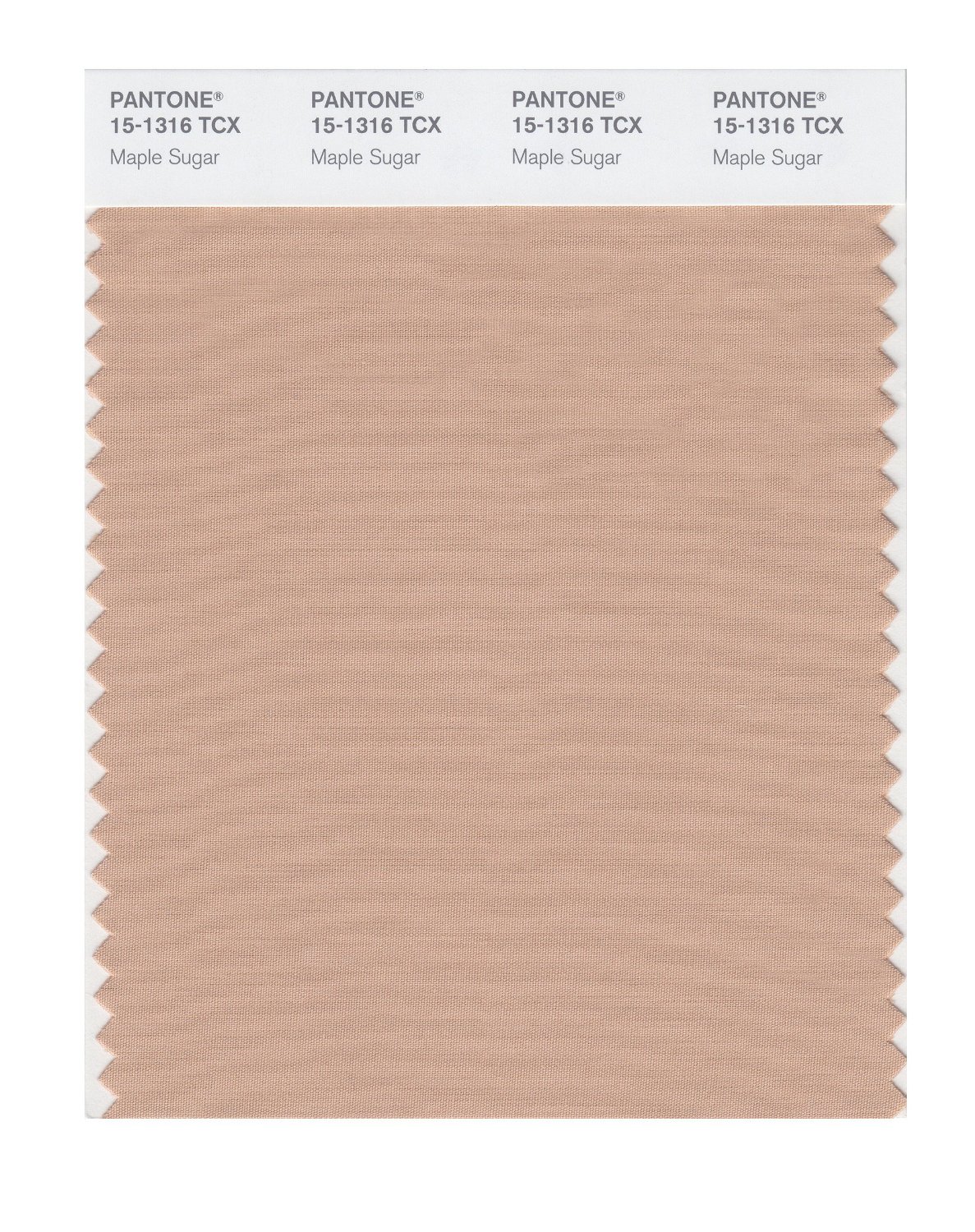 Pantone Cotton Swatch 15-1316 Maple Sugar