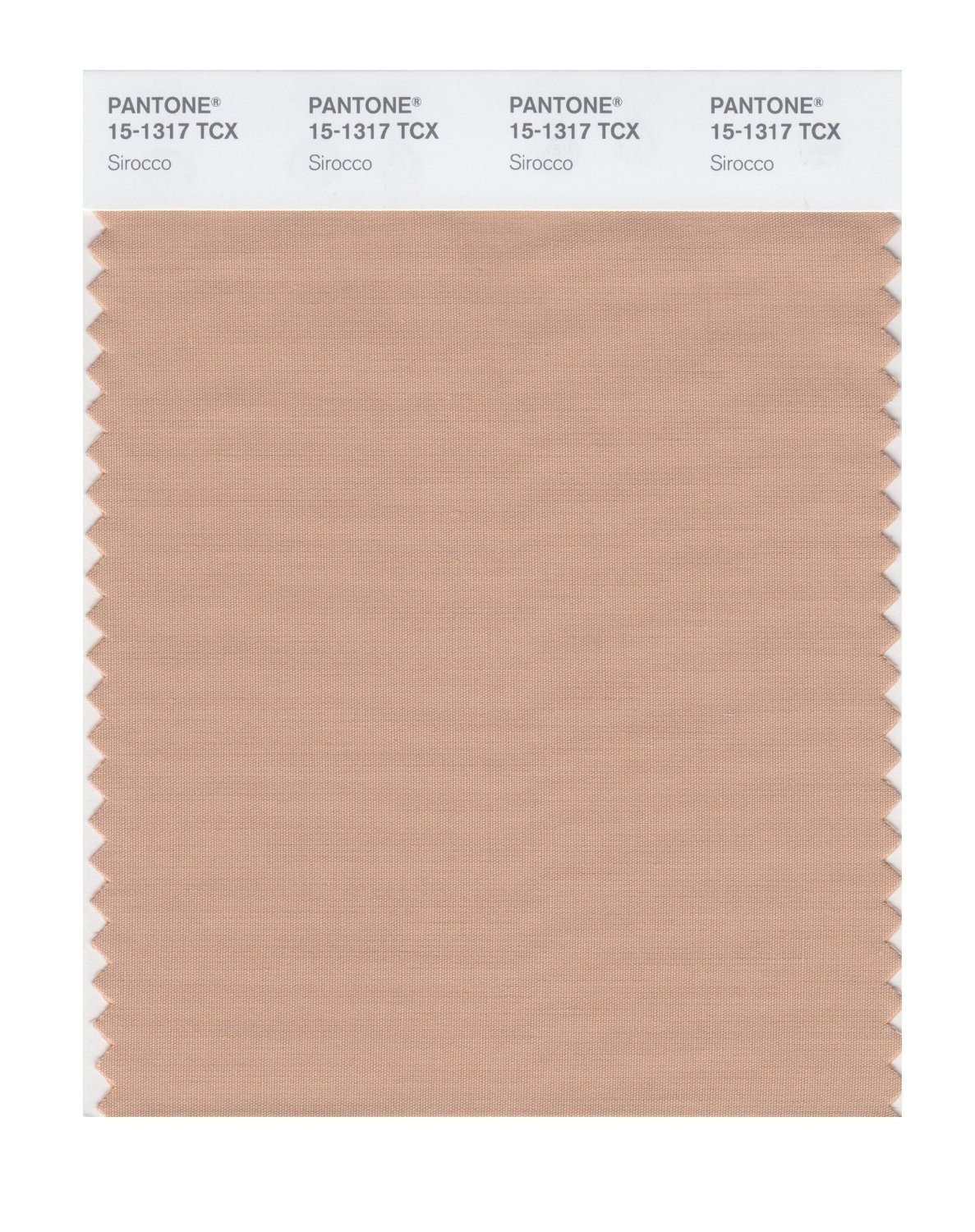 Pantone Cotton Swatch 15-1317 Sirocco