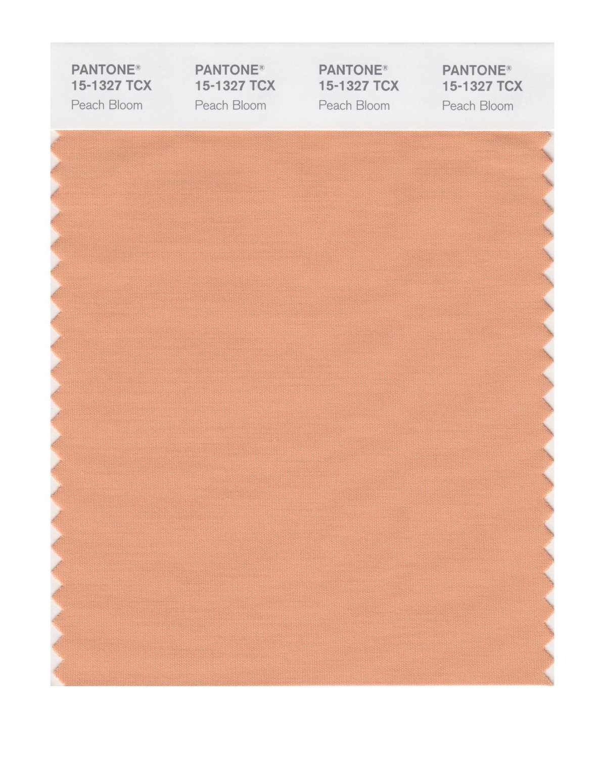 Pantone Cotton Swatch 15-1327 Peach Bloom