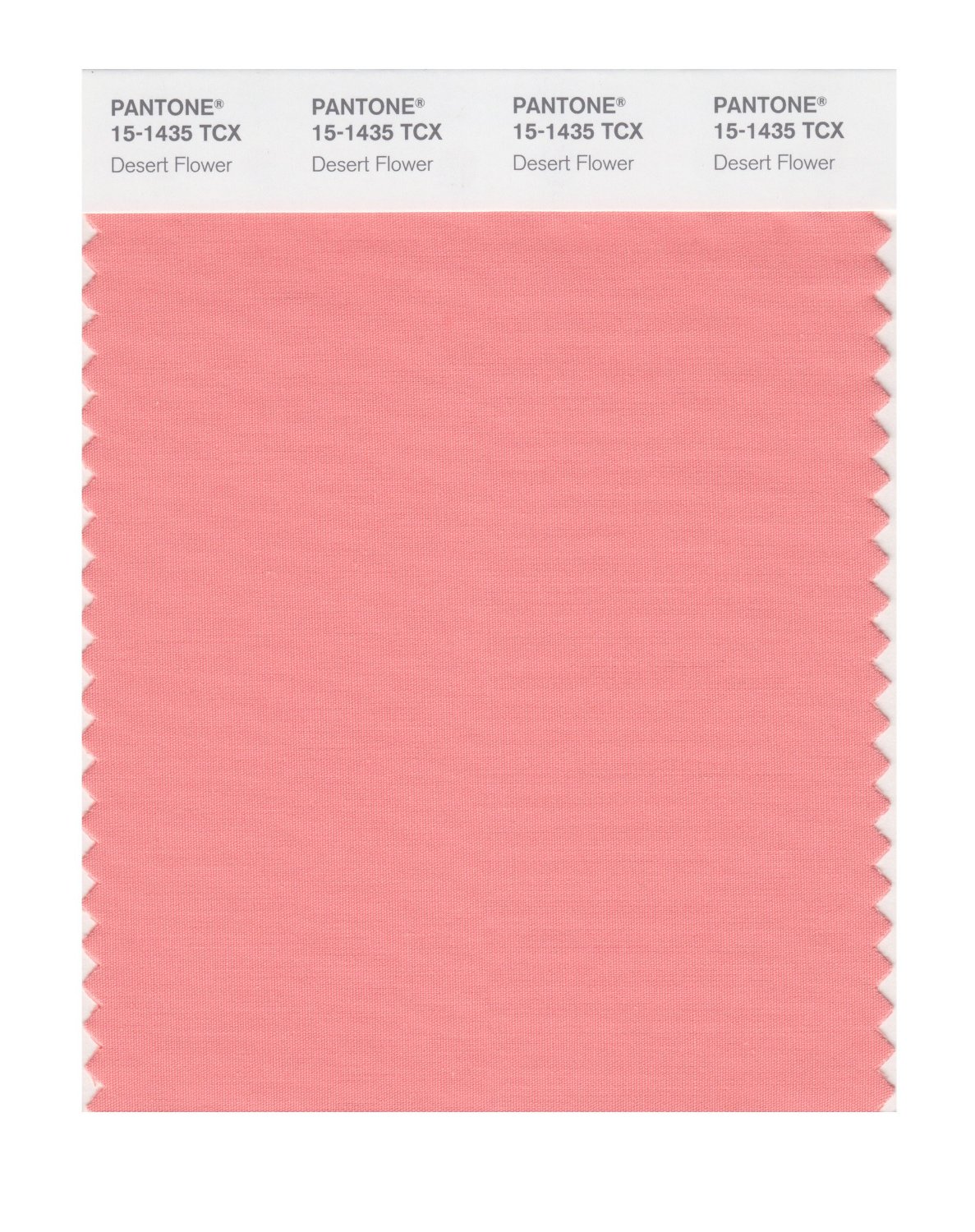 Pantone Cotton Swatch 15-1435 Desert Flower