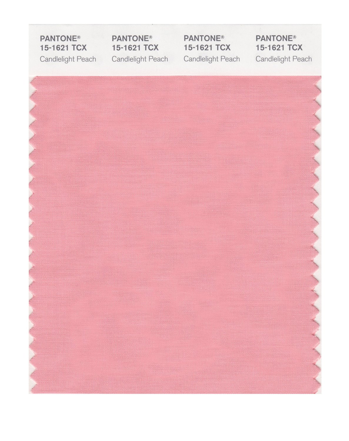 Pantone Cotton Swatch 15-1621 Candlelit Peach