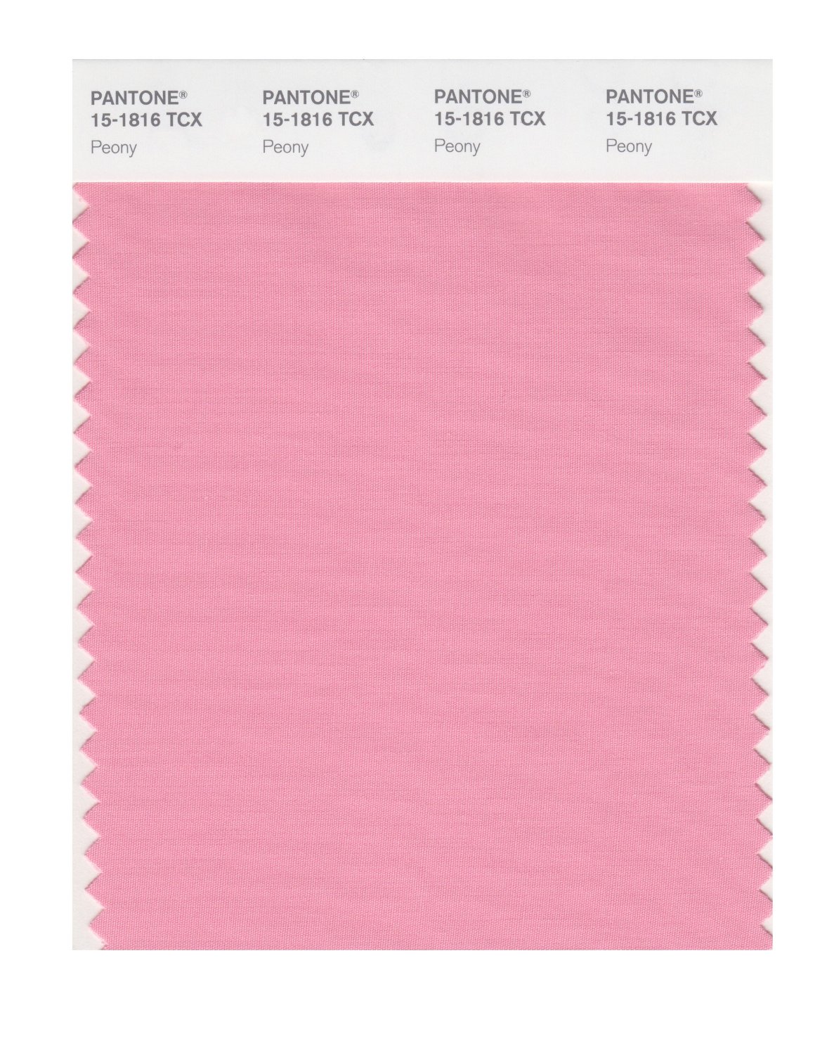 Pantone Cotton Swatch 15-1816 Peony