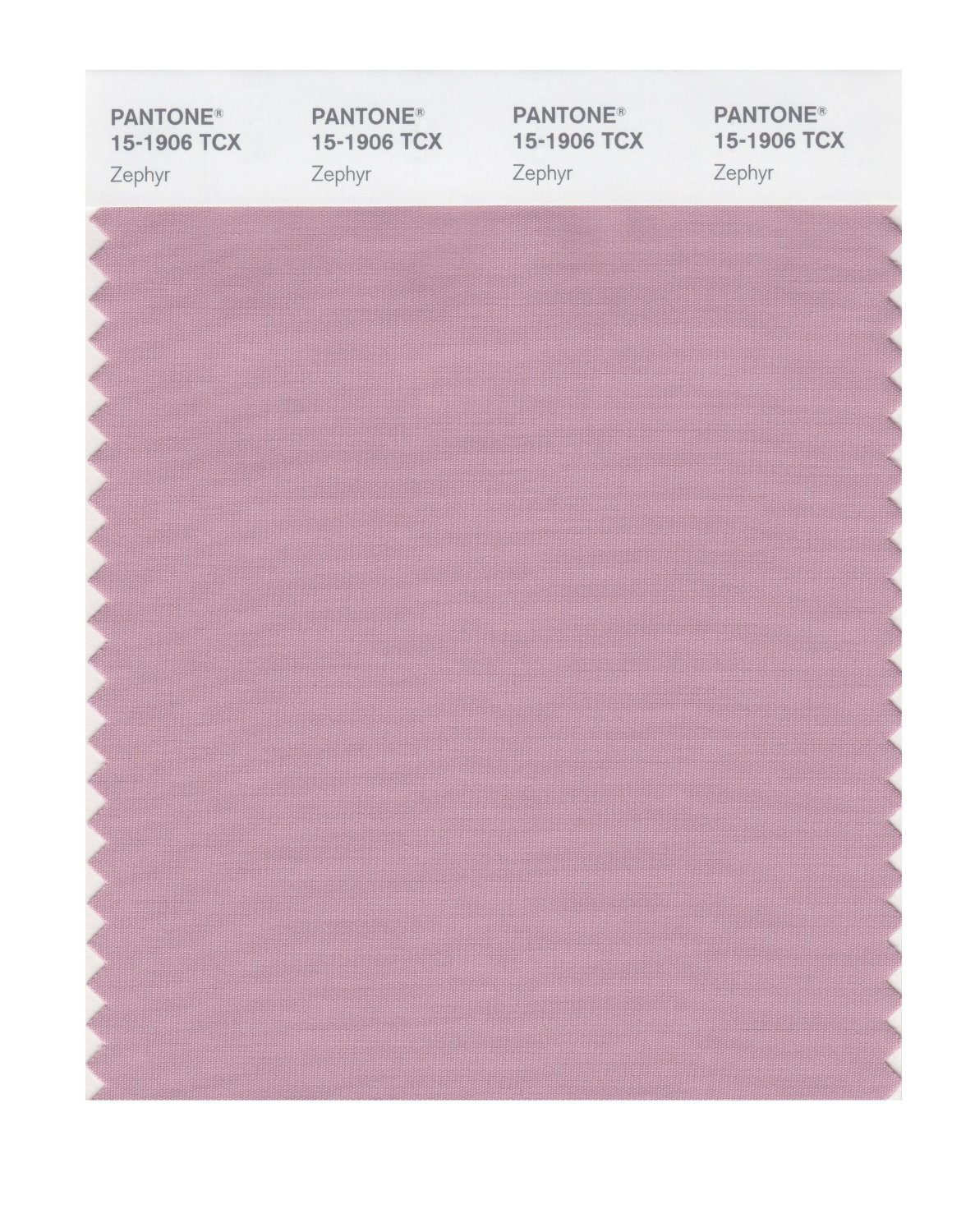 Pantone Cotton Swatch 15-1906 Zephyr