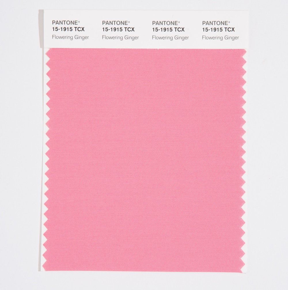 Pantone Cotton Swatch 15-1915 Flowering Ginge