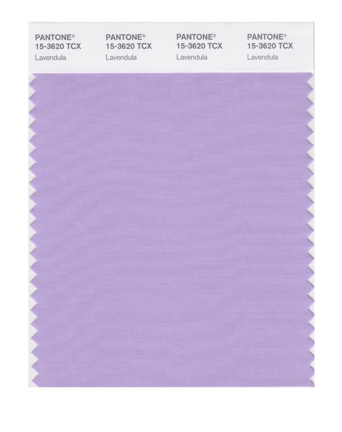 Pantone Cotton Swatch 15-3620 Lavandula