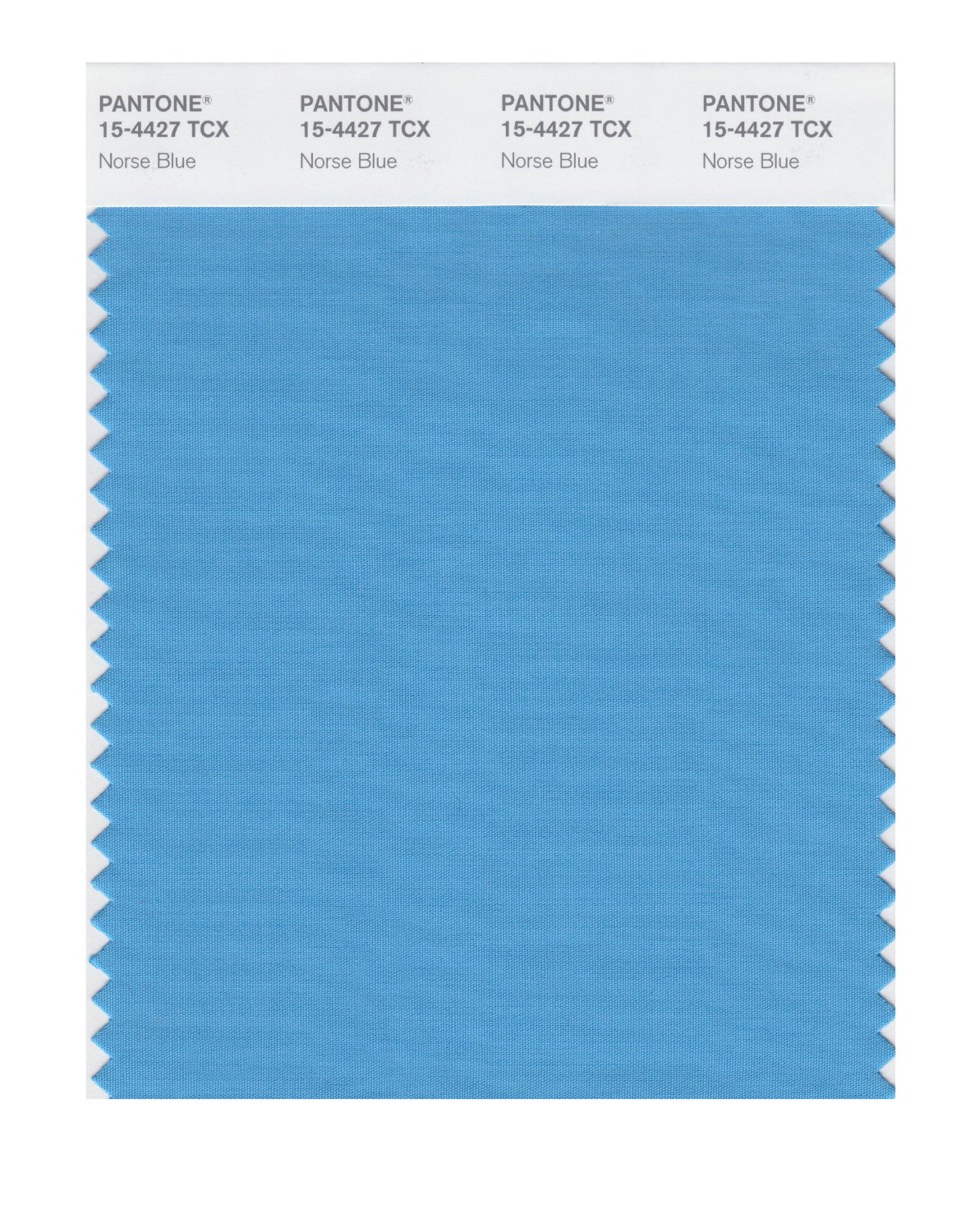 Pantone Cotton Swatch 15-4427 Norse Blue