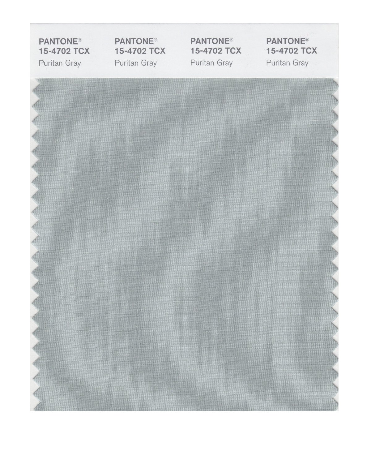 Pantone Cotton Swatch 15-4702 Puritan Gray