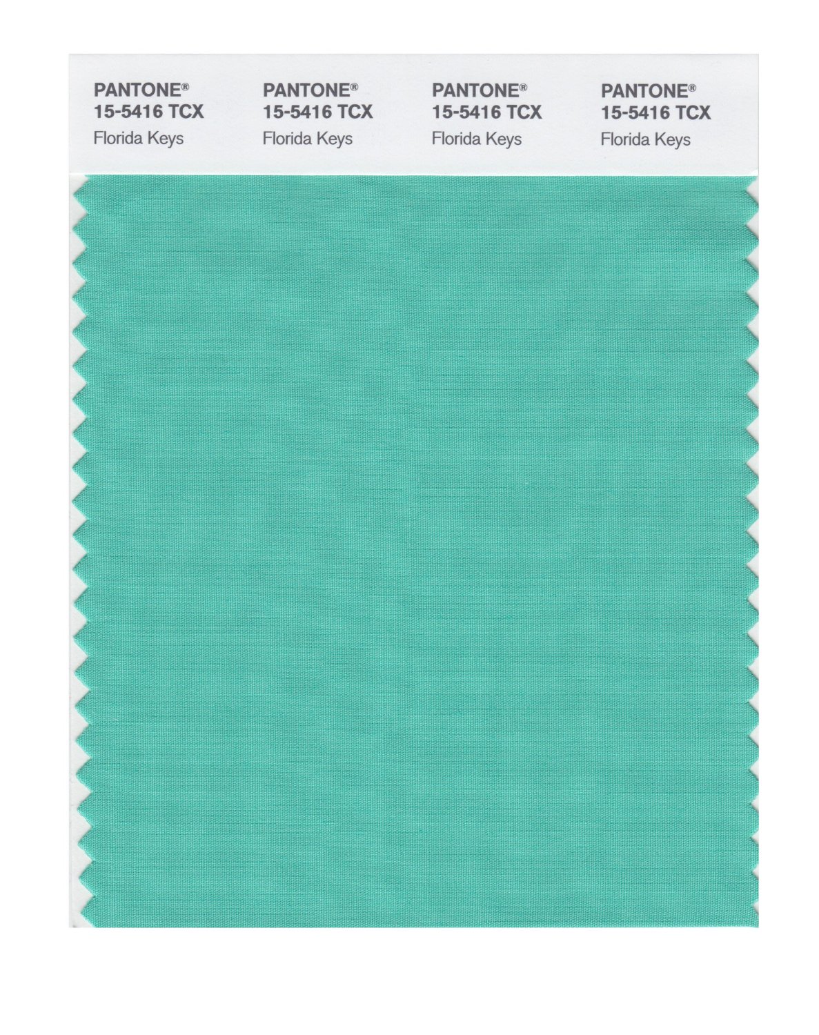 Pantone Cotton Swatch 15-5416 Florida Keys