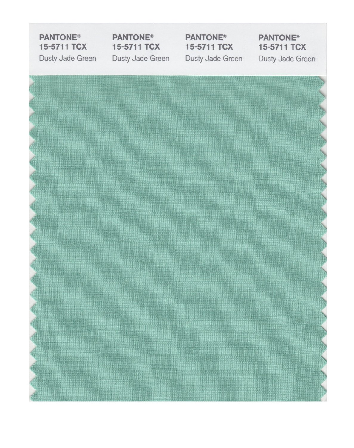 Pantone Cotton Swatch 15-5711 Dusty Jade Gree