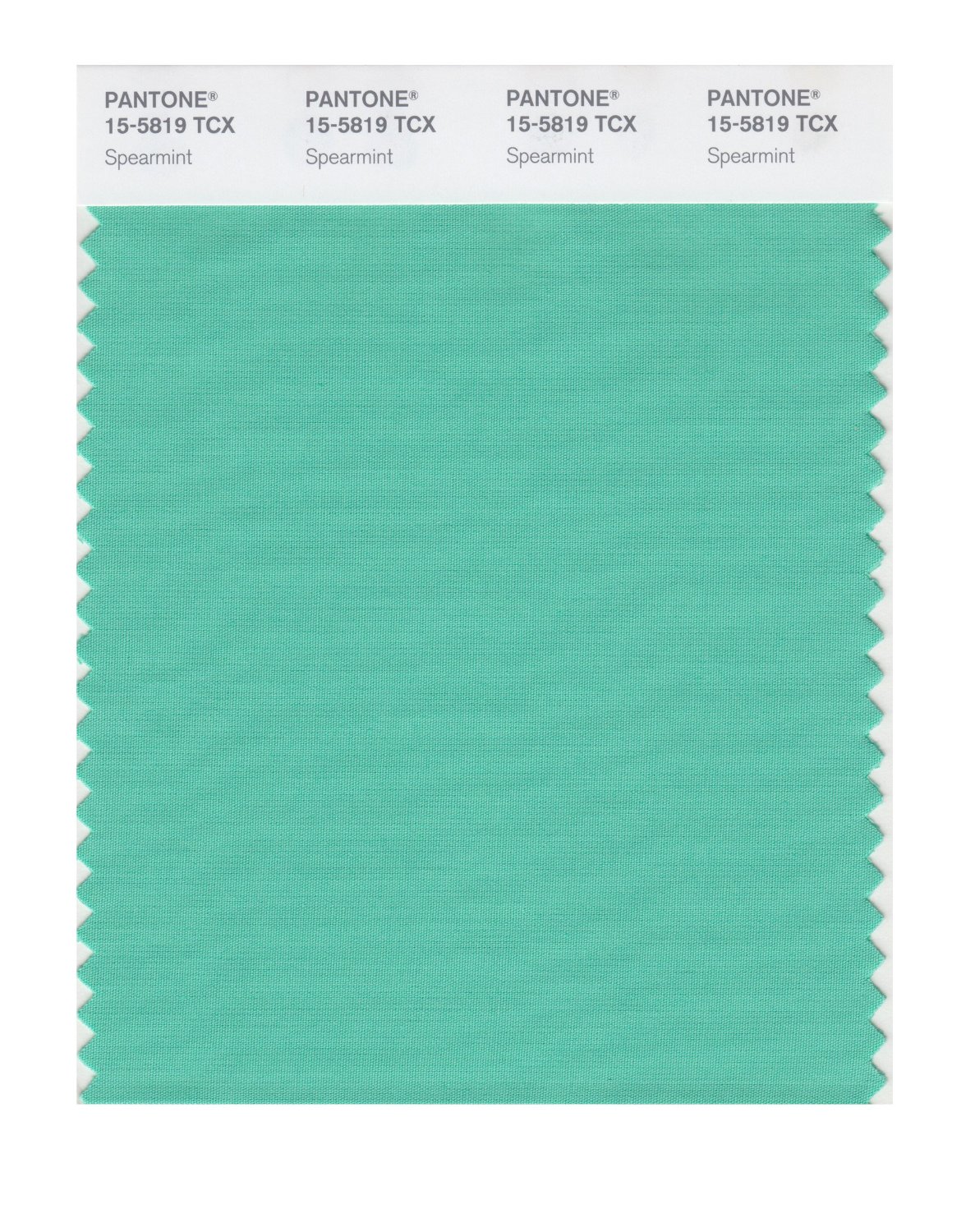 Pantone Cotton Swatch 15-5819 Spearmint