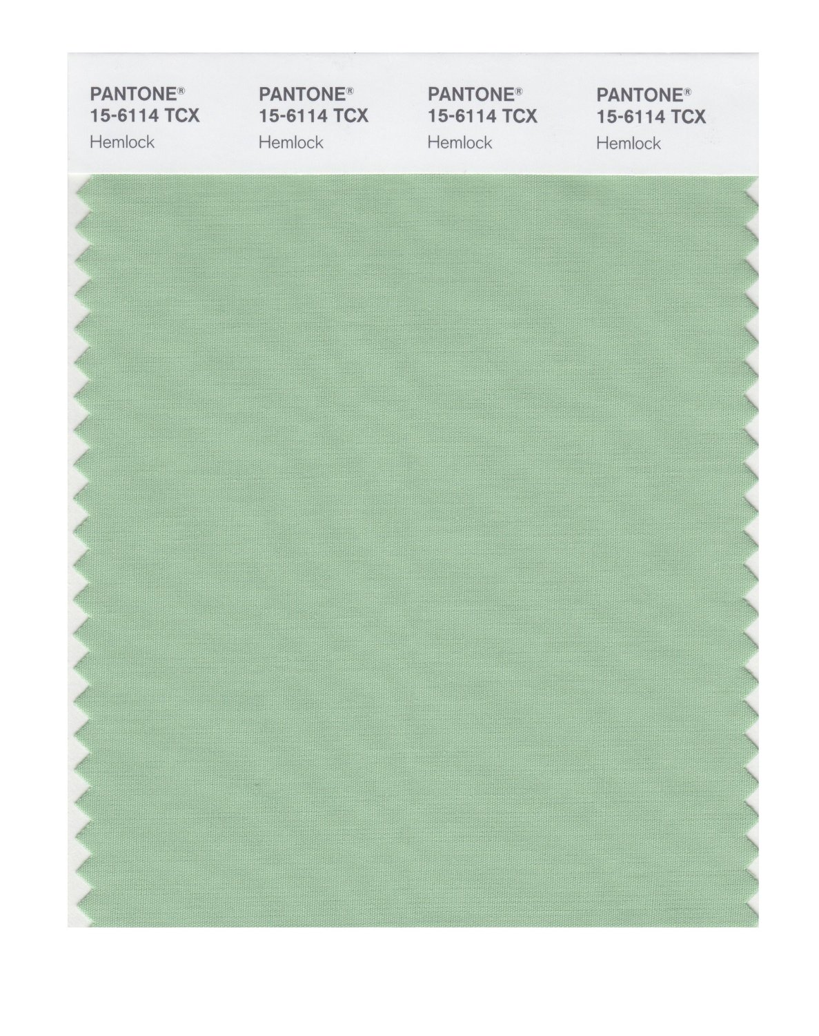 Pantone Cotton Swatch 15-6114 Hemlock