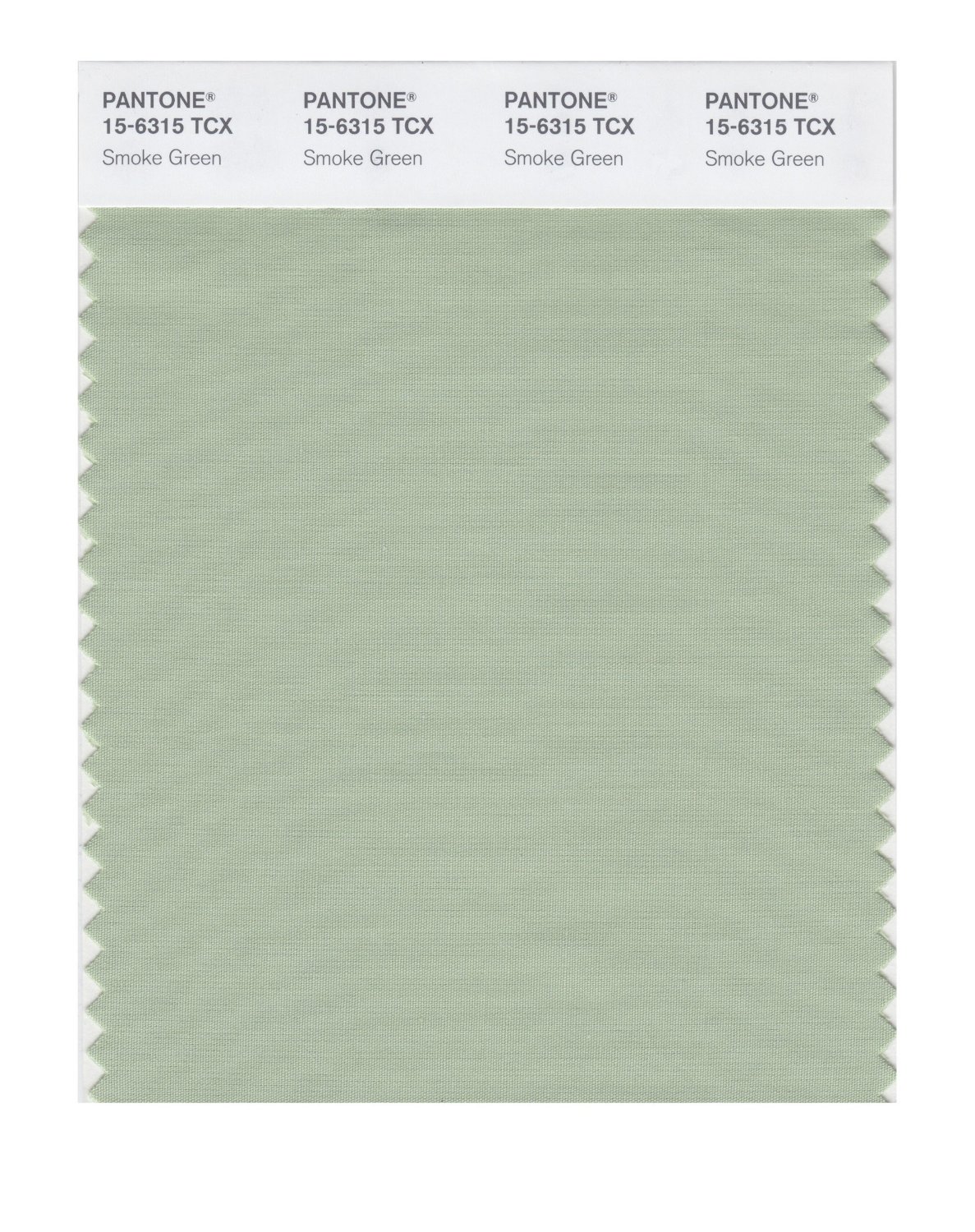 Pantone Cotton Swatch 15-6315 Smoke Green