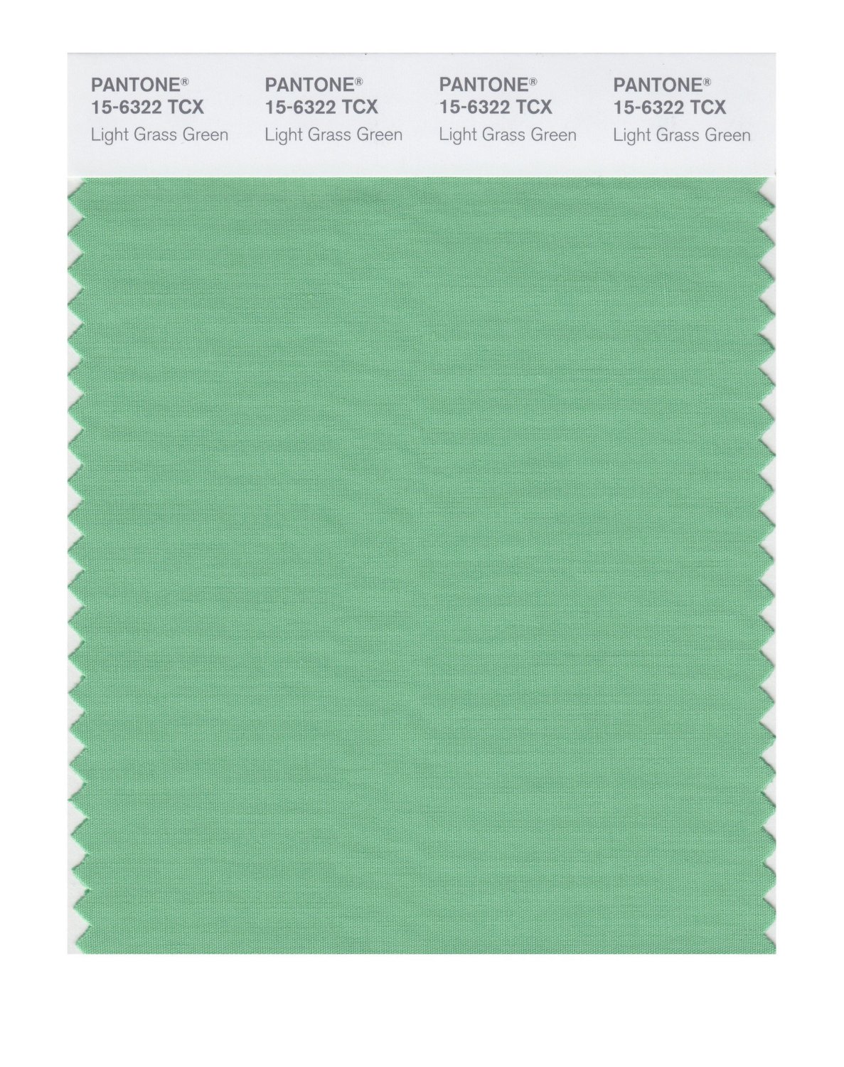 Pantone Cotton Swatch 15-6322 Lt Grass Green