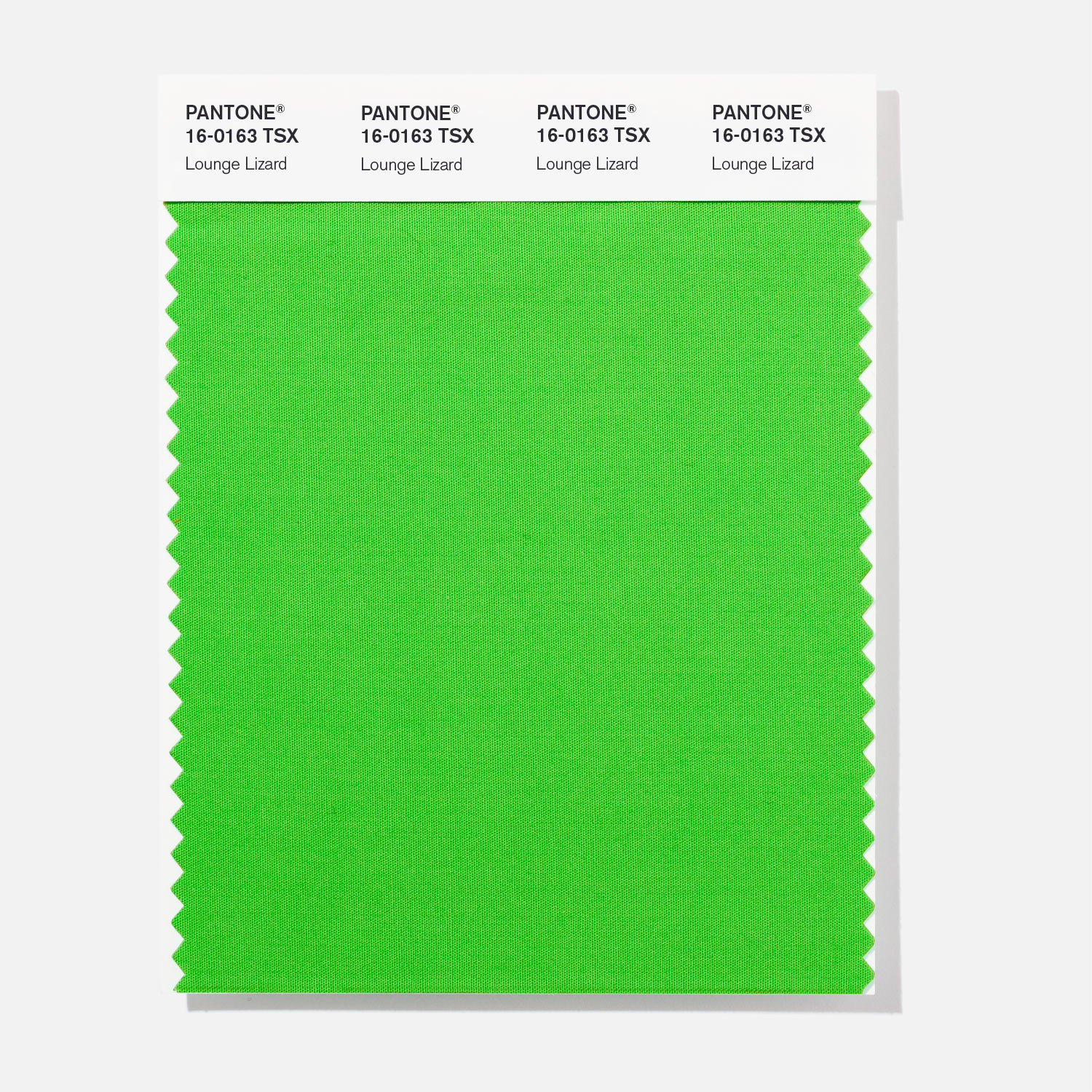 Pantone Polyester Swatch 16-0163 Lounge Lizar