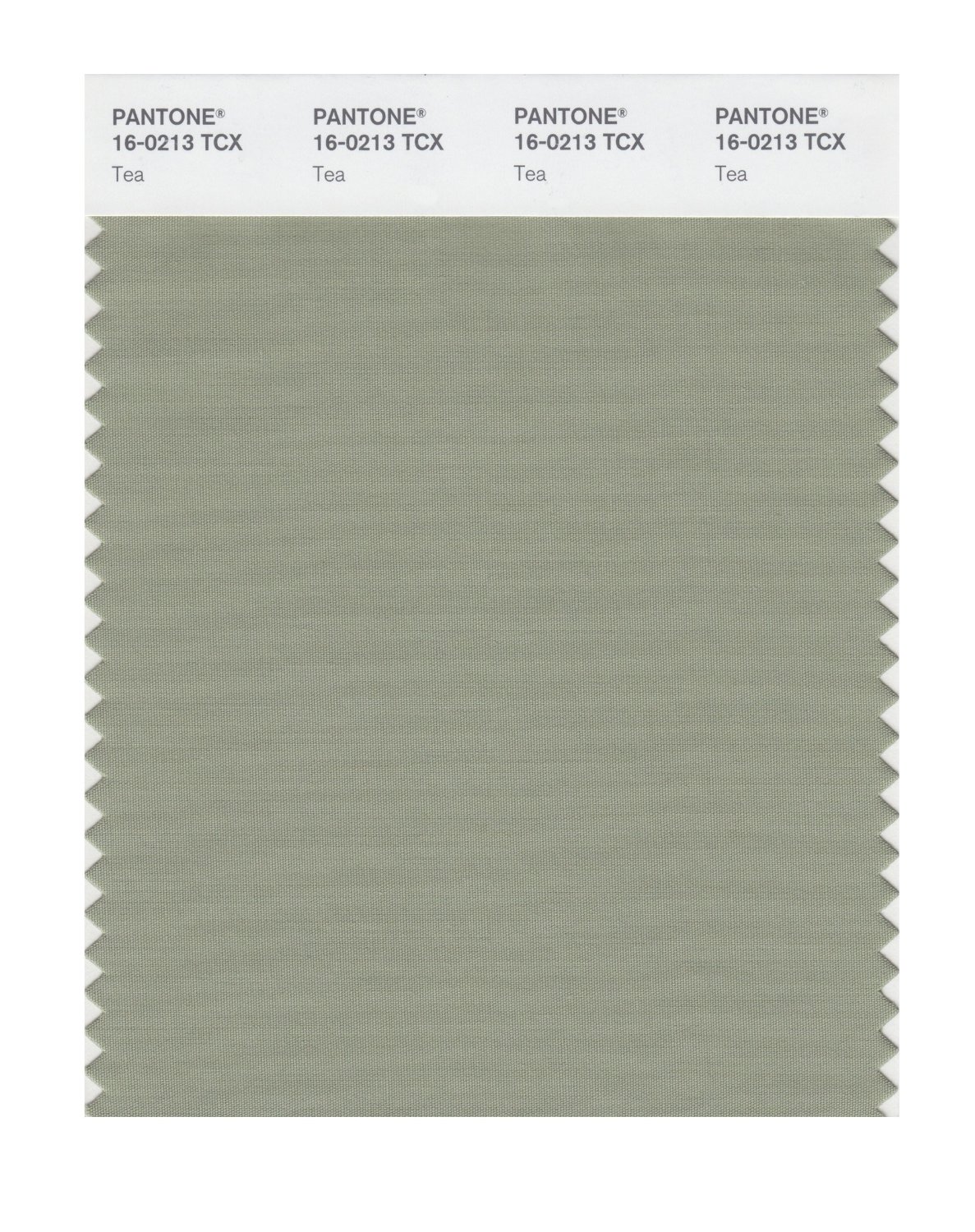 Pantone Cotton Swatch 16-0213 Tea