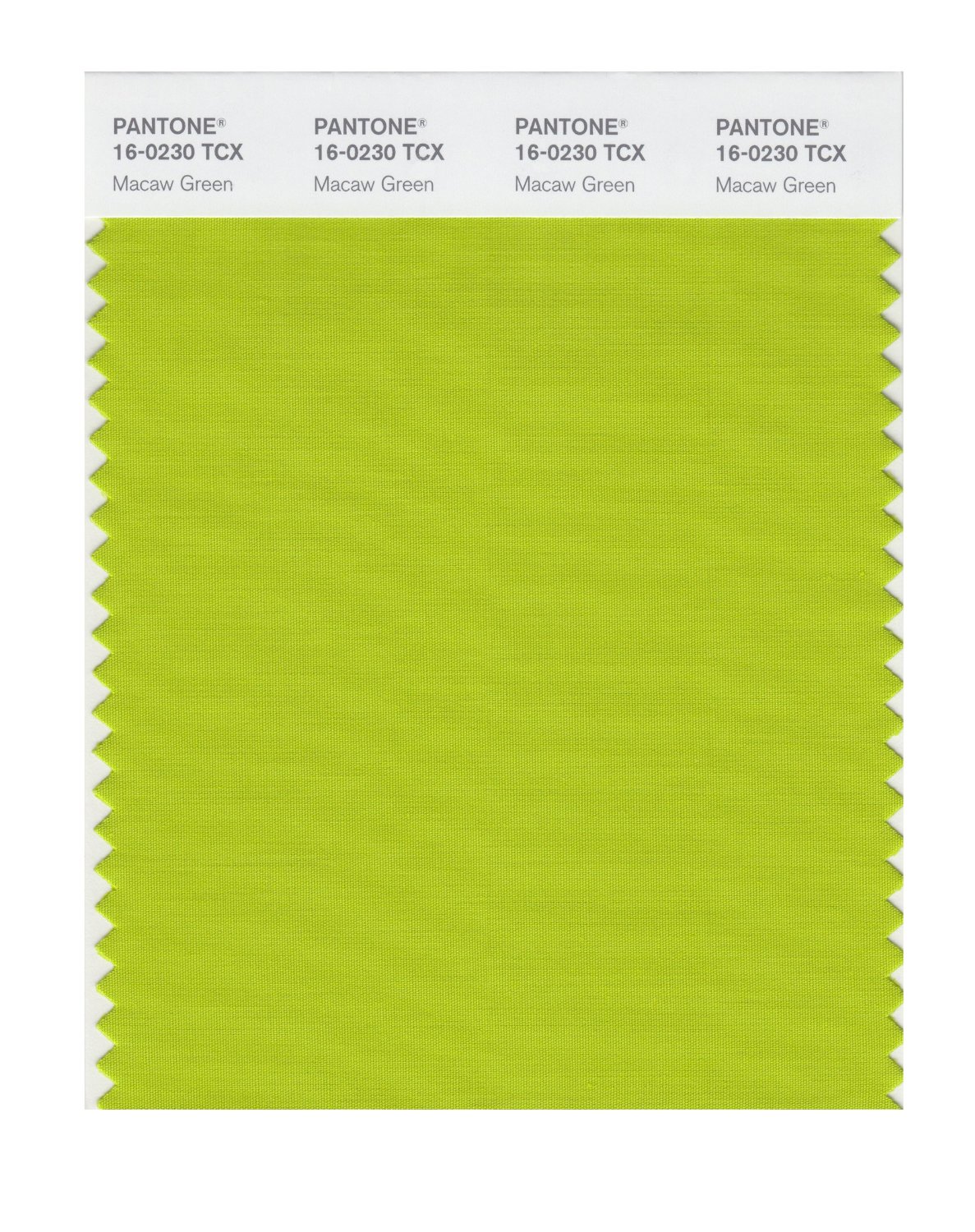 Pantone Cotton Swatch 16-0230 Macaw Green